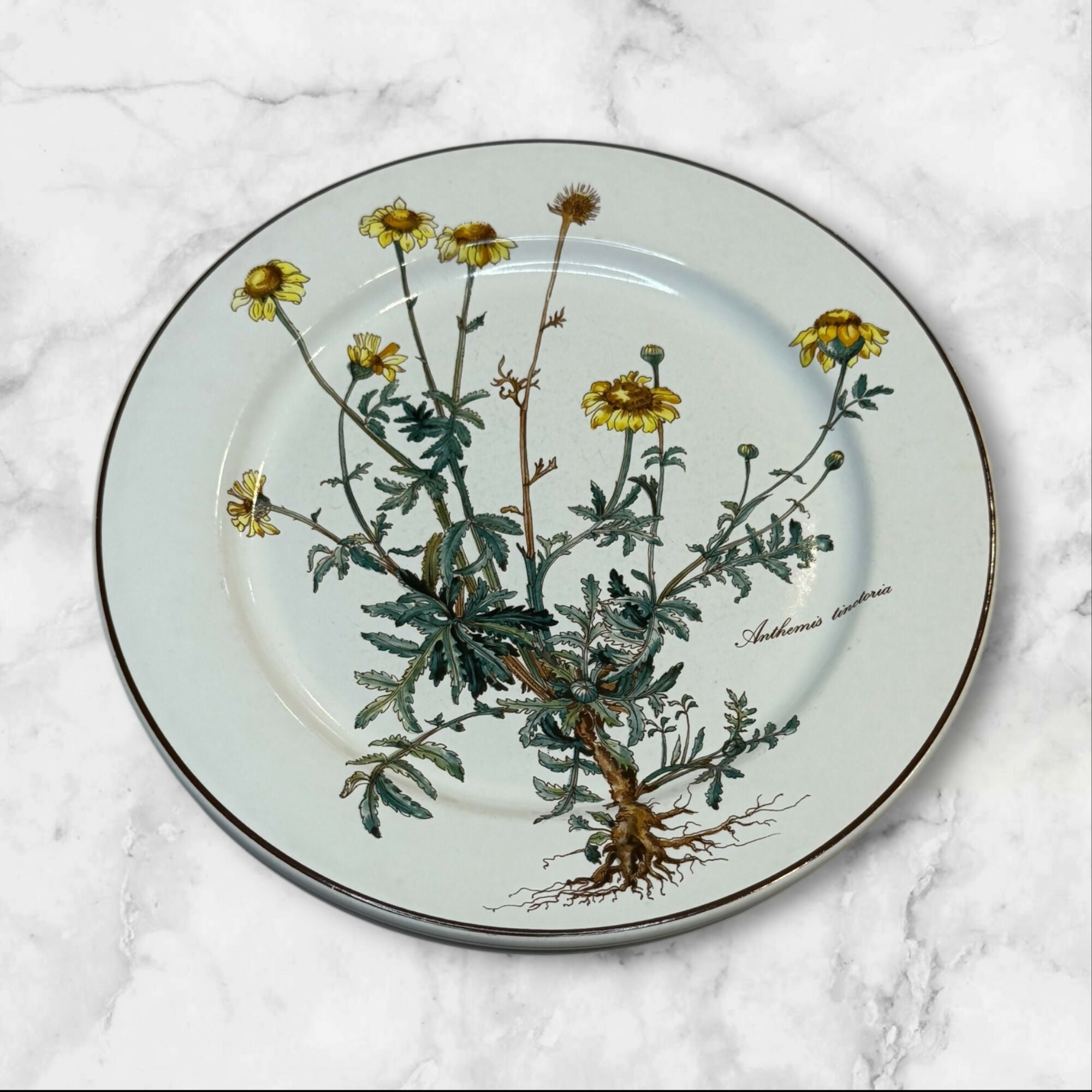 Villeroy & Boch Botanica Salad Plates Set of 4 | Great Condition
