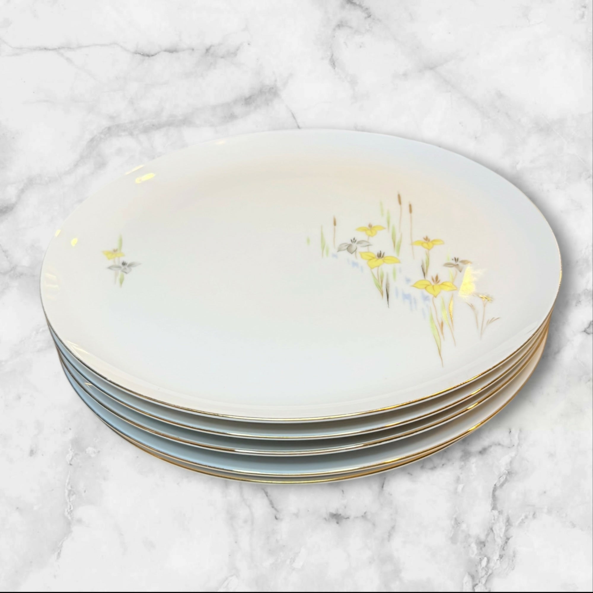 Eschenbach Baronet China Vivian Dinner Plates Set of 5 | Excellent Condition