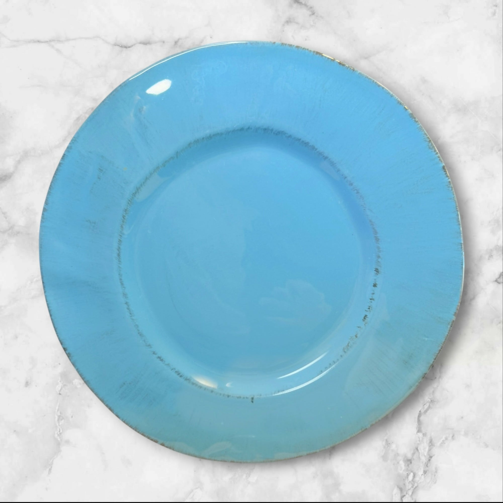 Pier 1 Nuevo Organic Blue Dinner Plates | Set of 2 | Great Condition