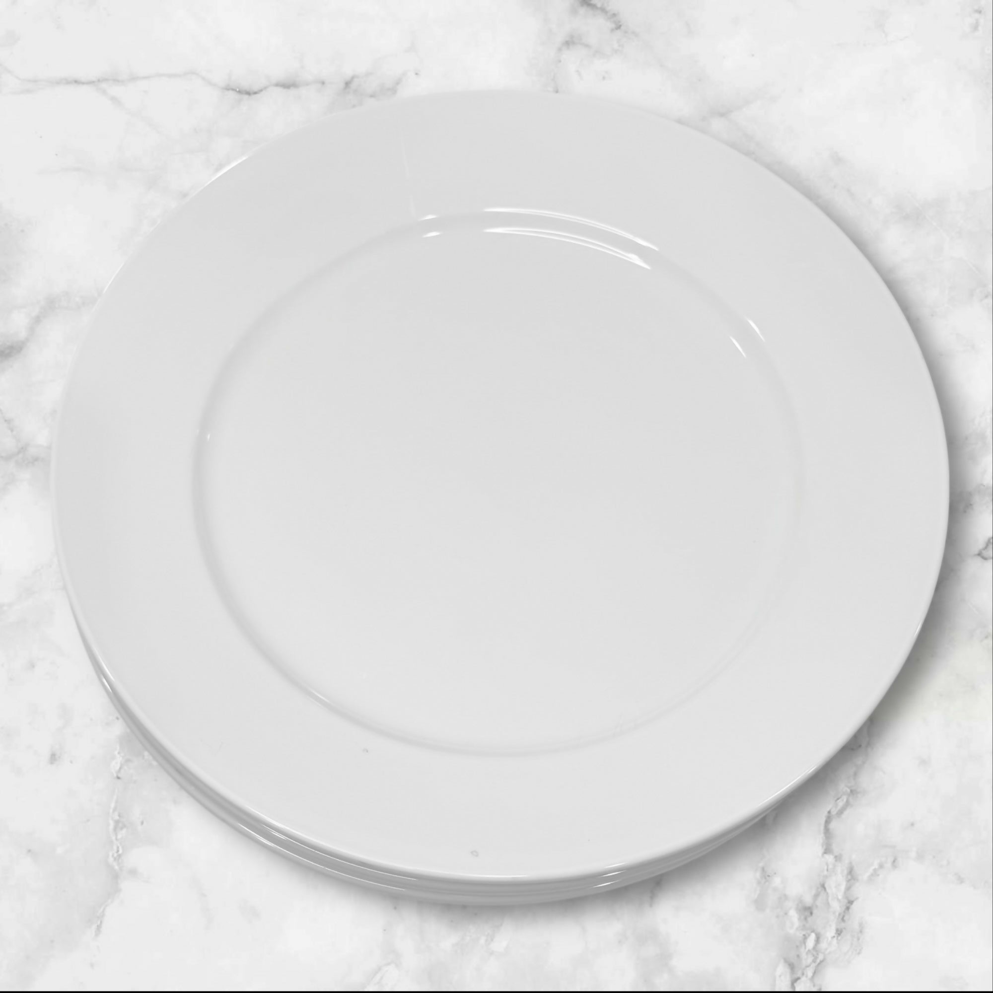 Sant’ Andrea Royal Porcelain Dinner Plates | Set of 4 | Excellent Condition