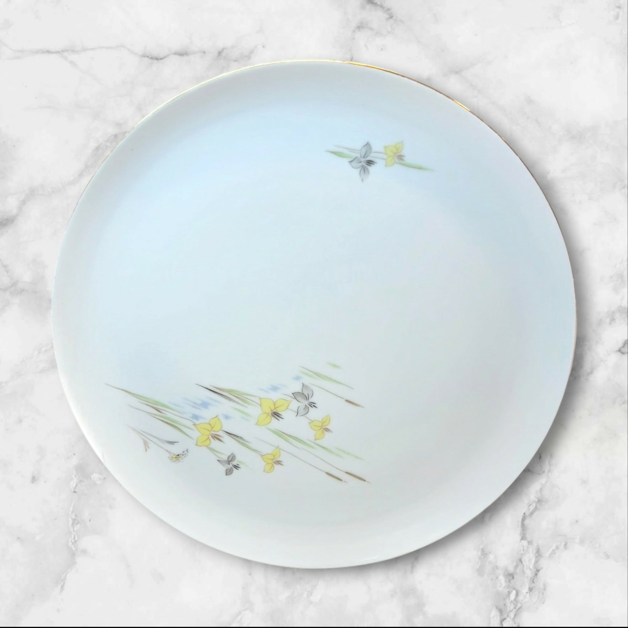 Eschenbach Baronet China Vivian Dinner Plates Set of 5 | Excellent Condition