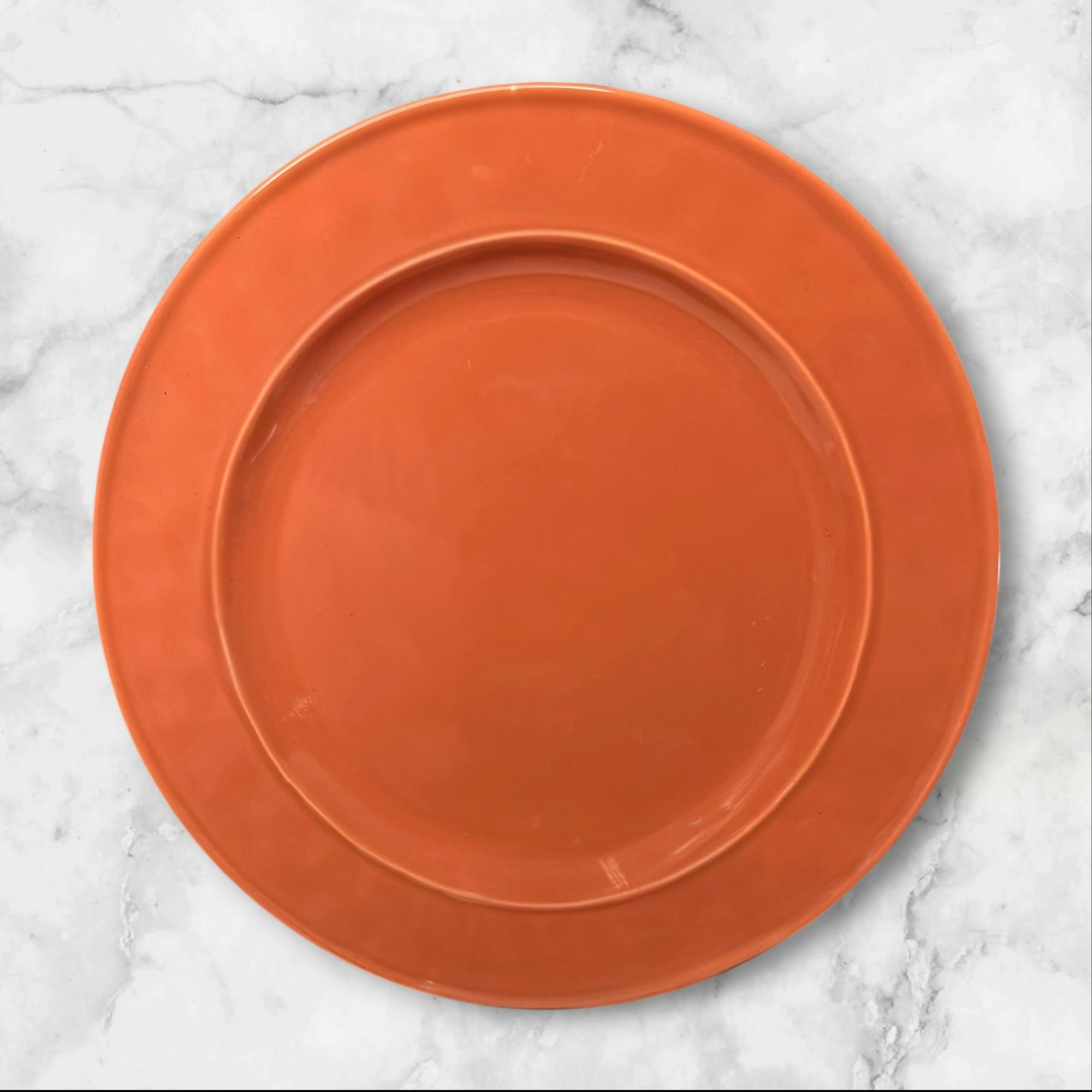 Food Network Fontina Coral Dinner Plates | Set of 4 | Great Condition