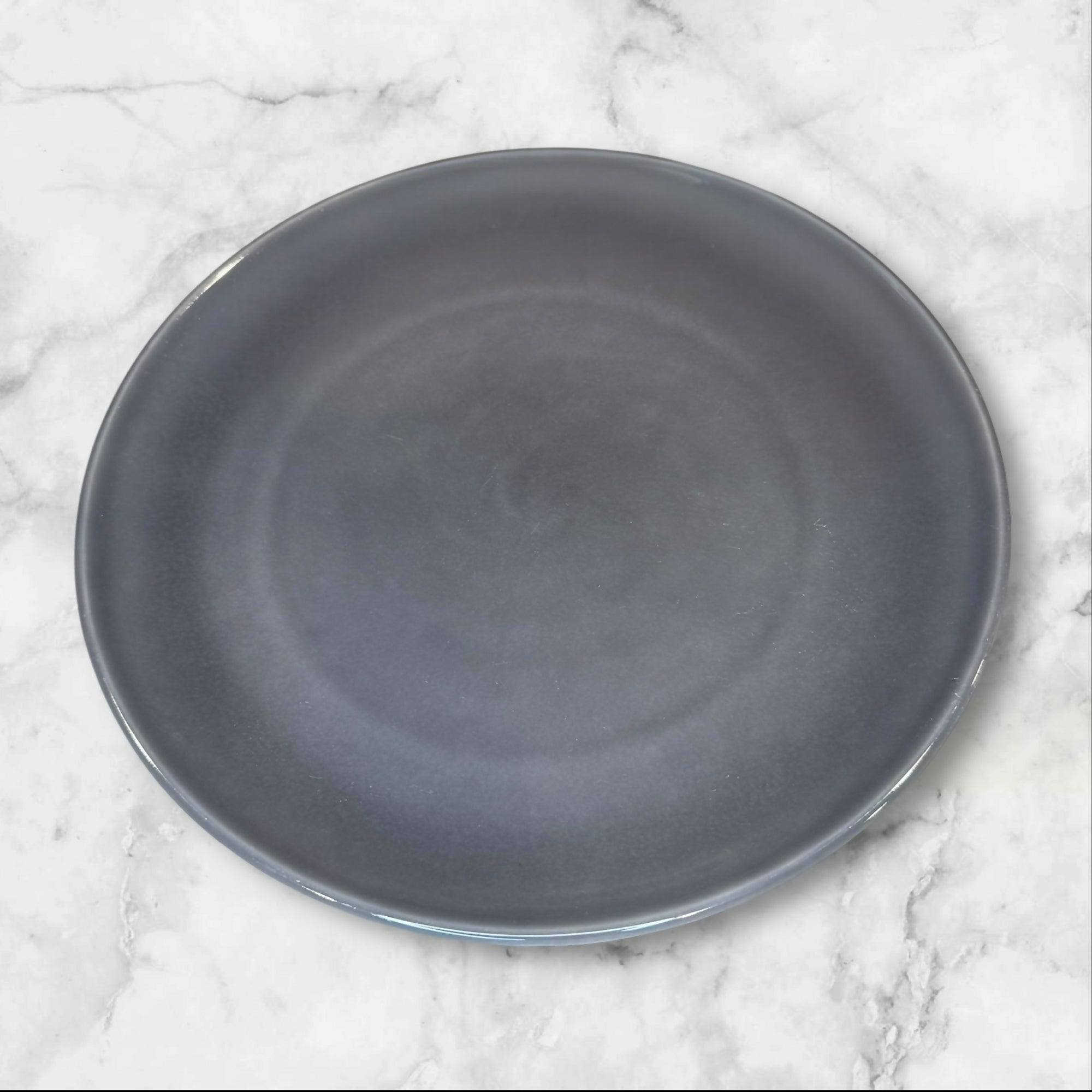 Williams Sonoma Pacifica Gray Dinner Plates | Set of 2 | 10 5/8” | Good Condition