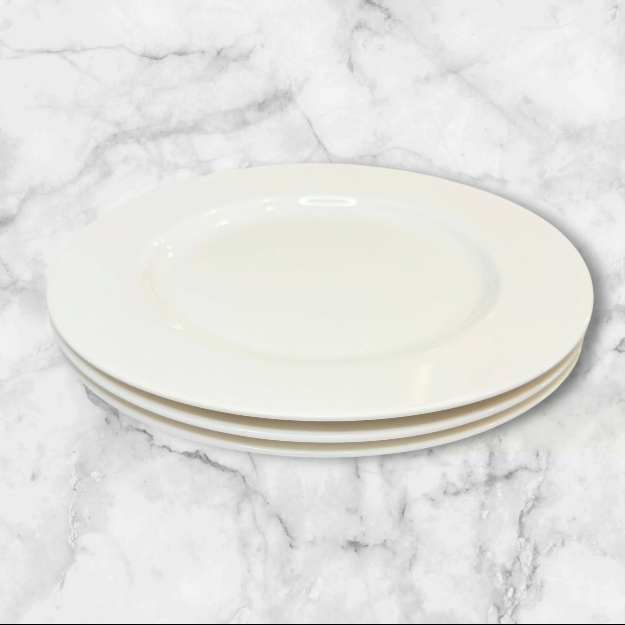 Pier 1 New Essentials Classic Dinner Plates | Set of 3 | Great Condition
