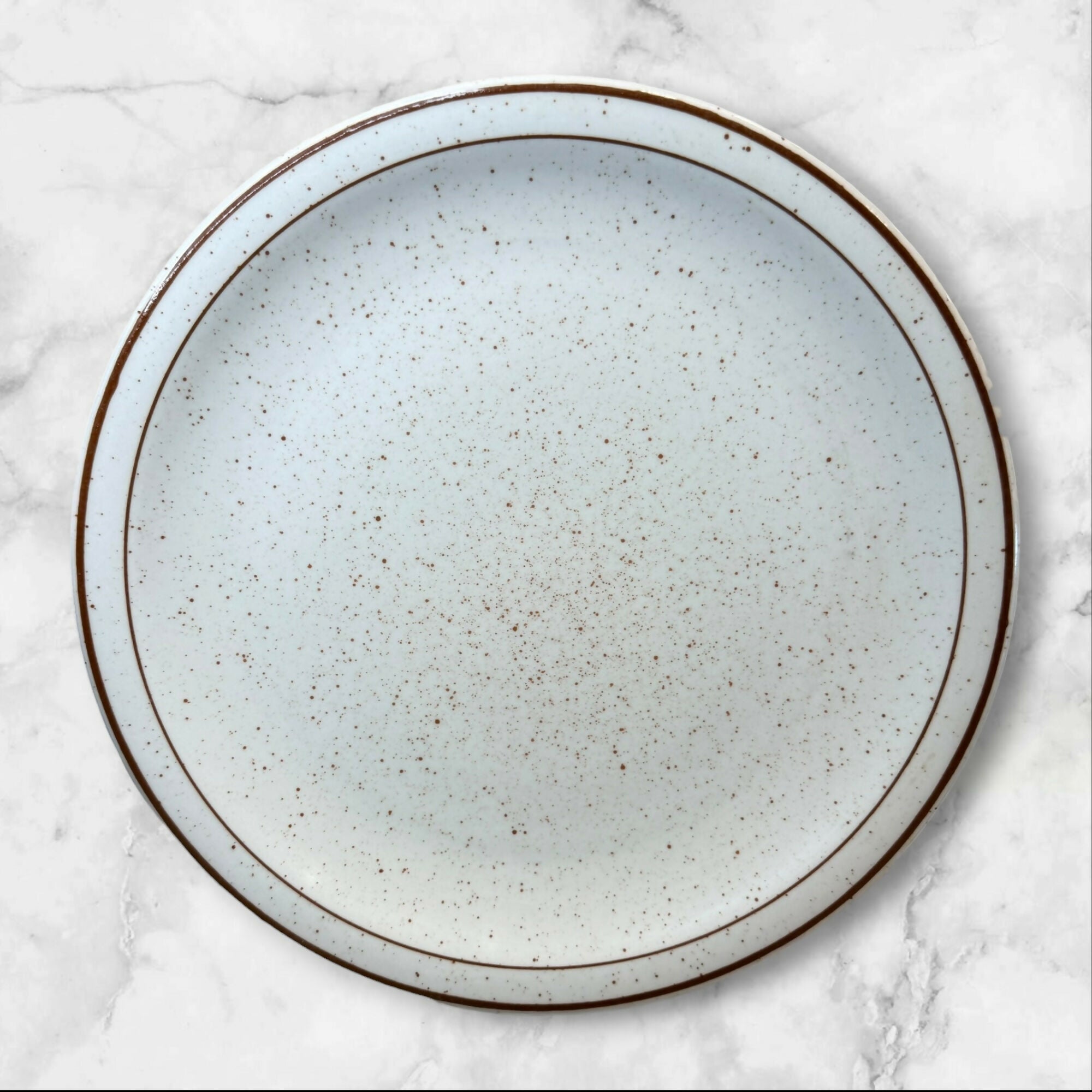 Jackson China Speckled Dinner Plates | Set of 4 | Great Condition