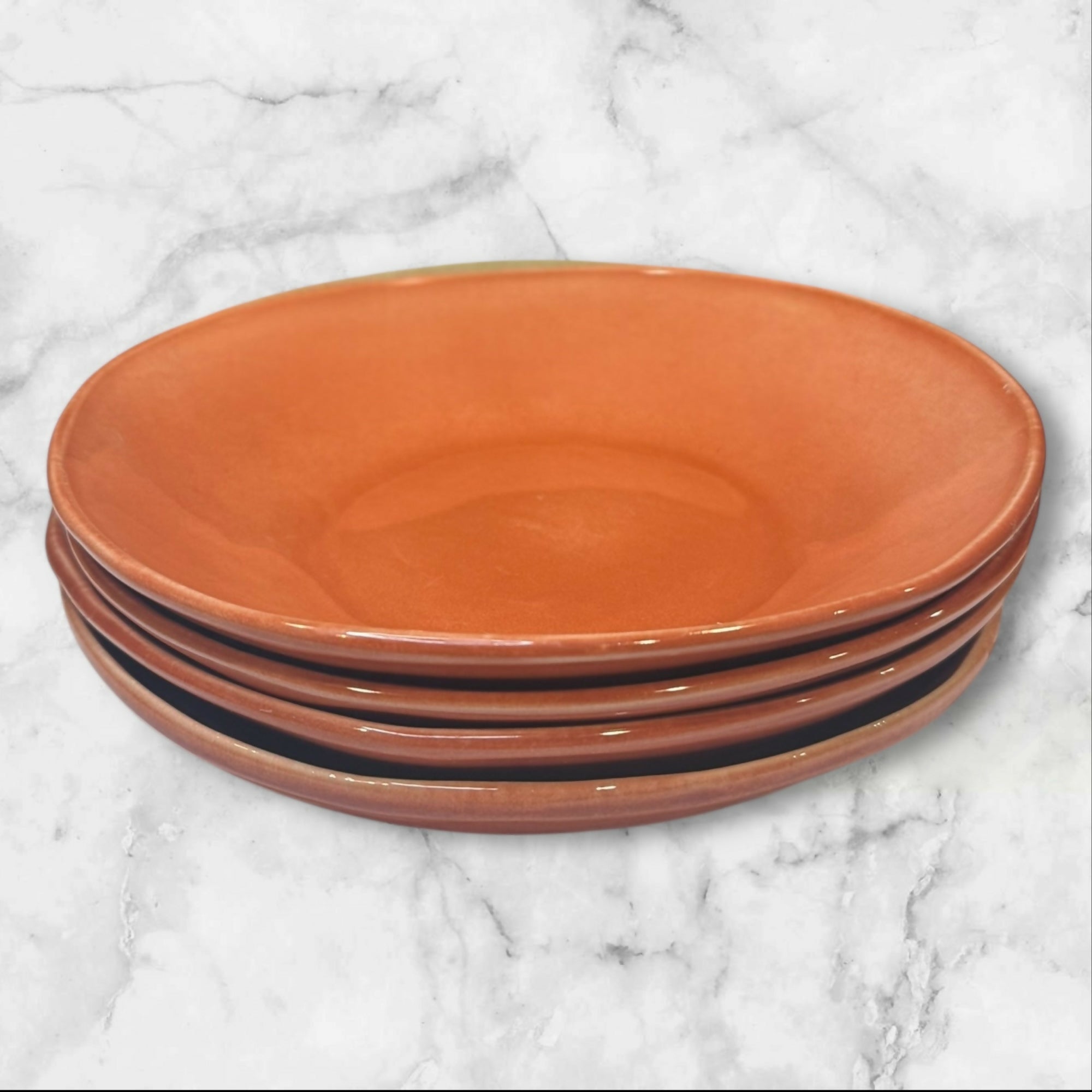 Pier 1 Terracotta Stoneware Pasta Bowls | Set of 4 | Excellent Condition