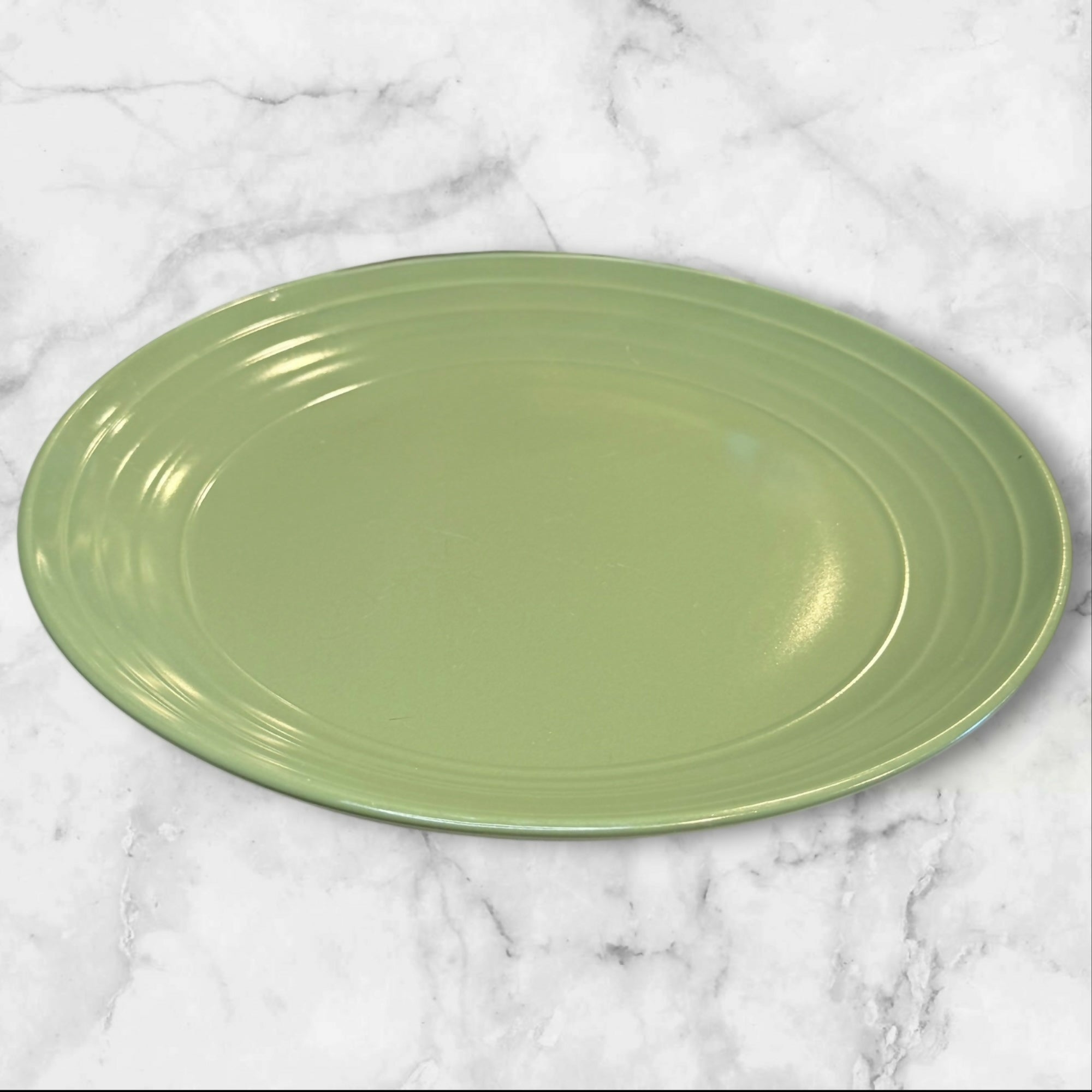 Pier 1 Essentials Sage Green Dinner Plates | Set of 4 | Great Condition