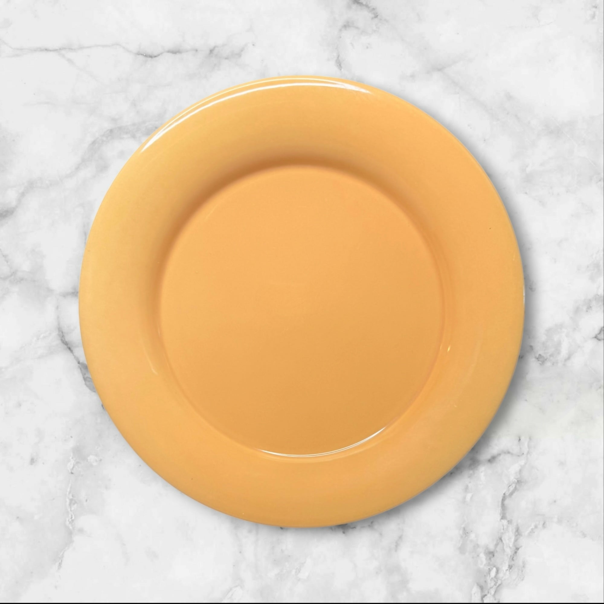 Franciscan Sandman Dinner Plates | Set of 4 | Excellent Condition