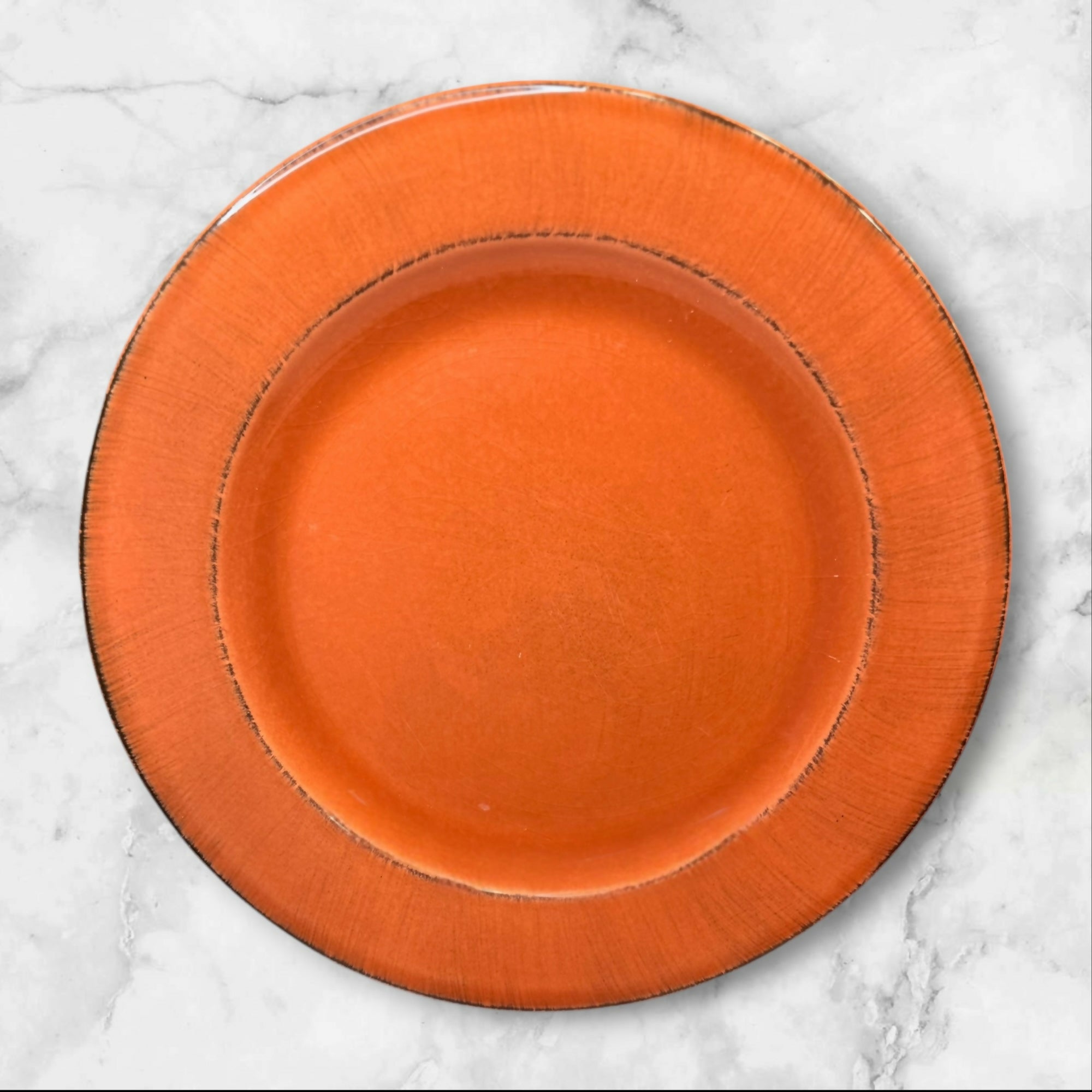Pier 1 Toscana Terracotta Dinner Plates Made in Italy | Set of 4 | Good Condition