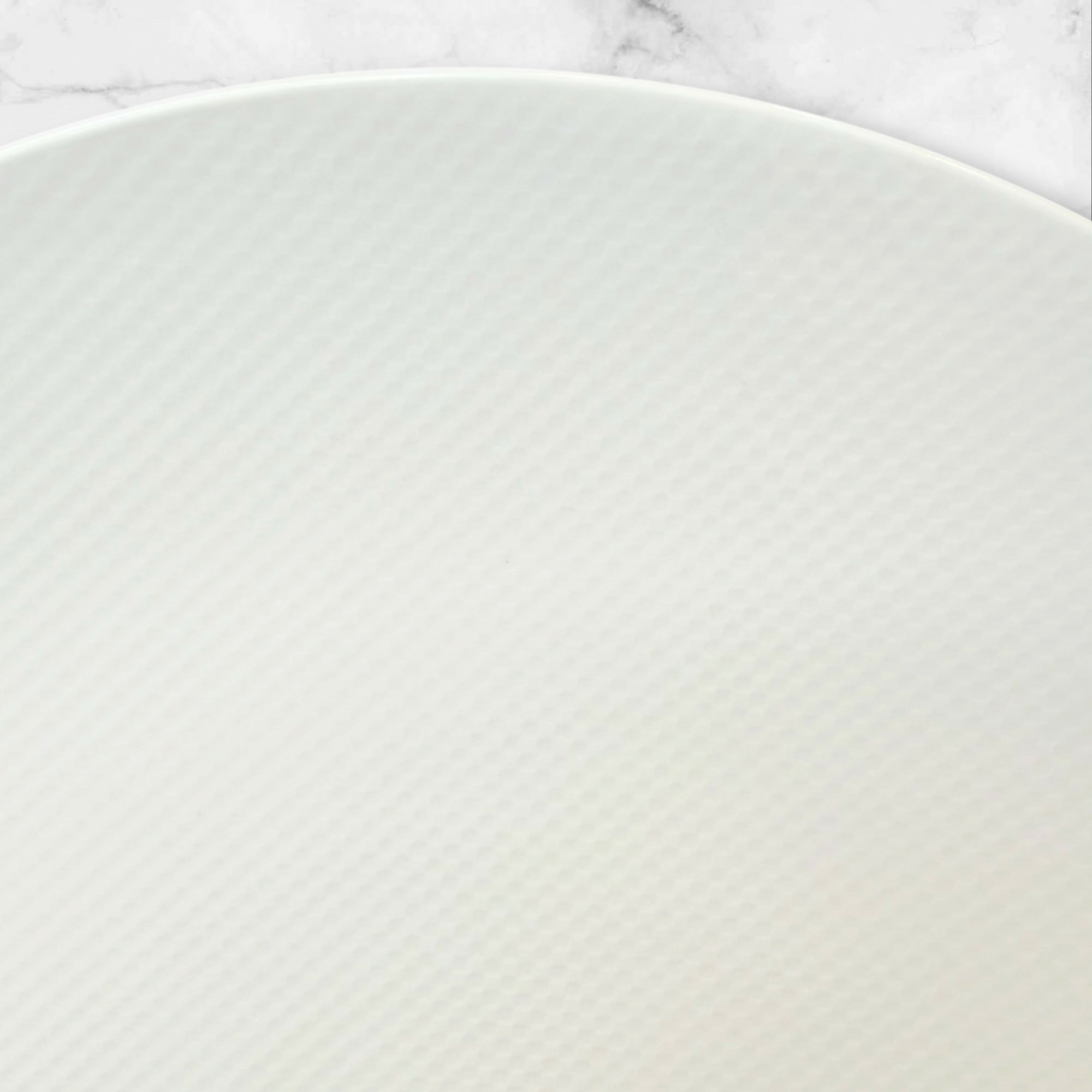Crate & Barrel Nikko Reflections Coupe Dinner Plates | Set of 4 | Excellent