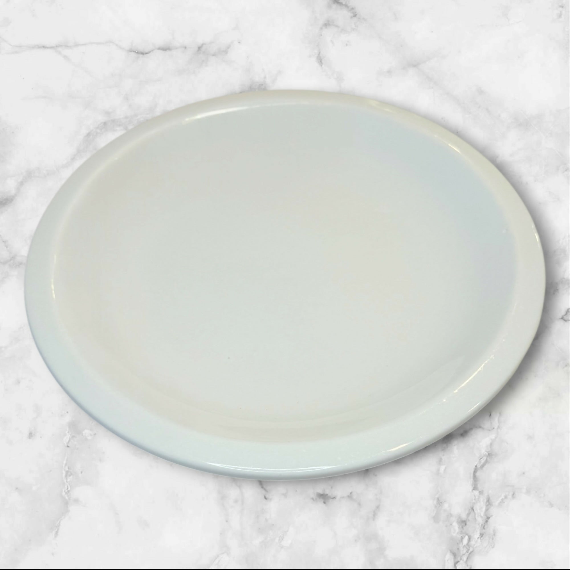 CulinaryArts Raised Rim Dinner Plates | Set of 3 | Excellent Condition