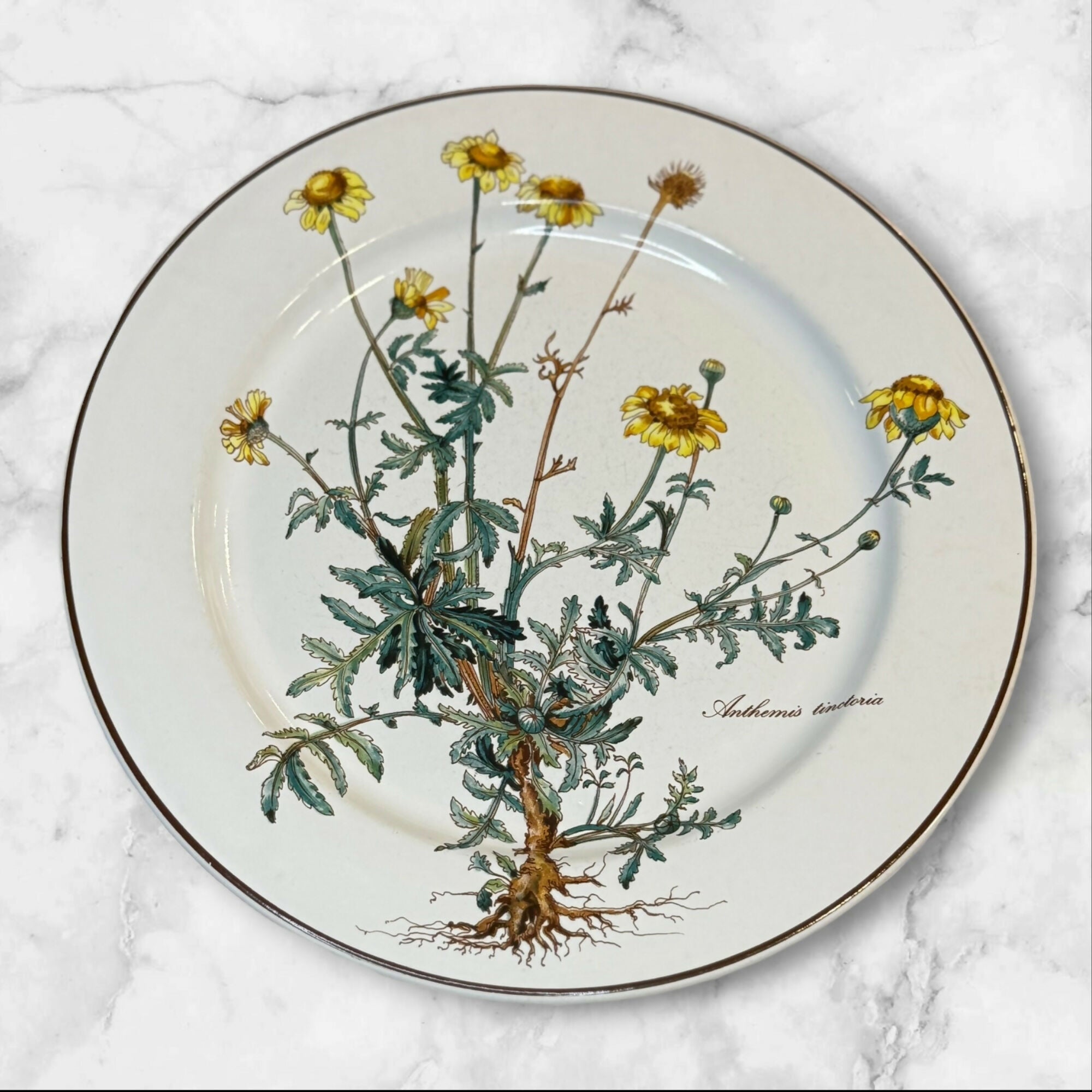 Villeroy & Boch Botanica Salad Plates Set of 4 | Great Condition