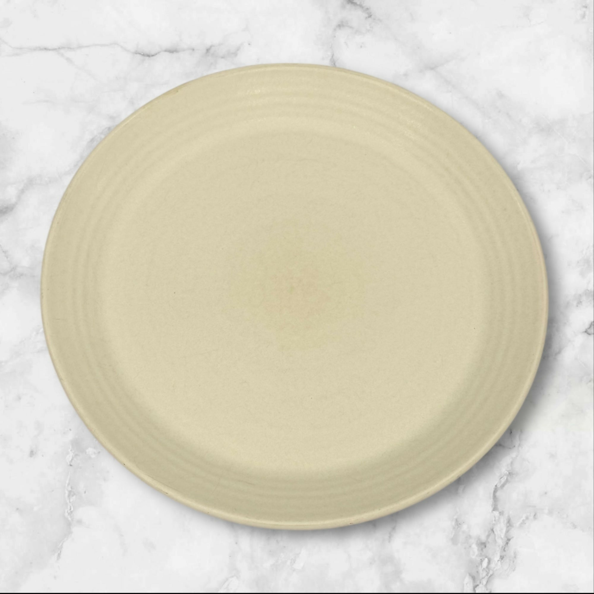 Pottery Barn Larkin Dinner Plates | Set of 4 | Great Condition