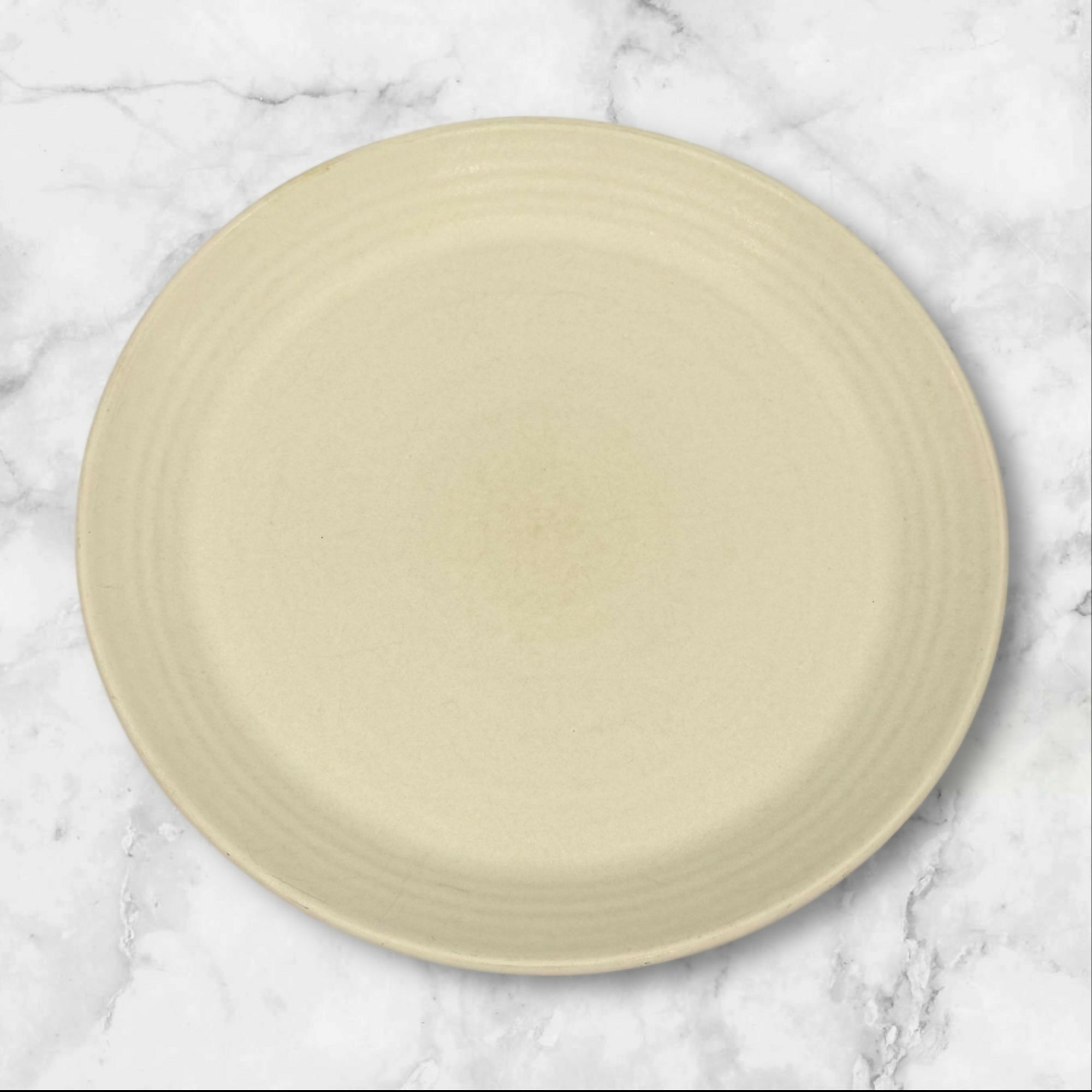 Pottery Barn Larkin Stoneware Dinner Plates | Set of 4 | Great Condition