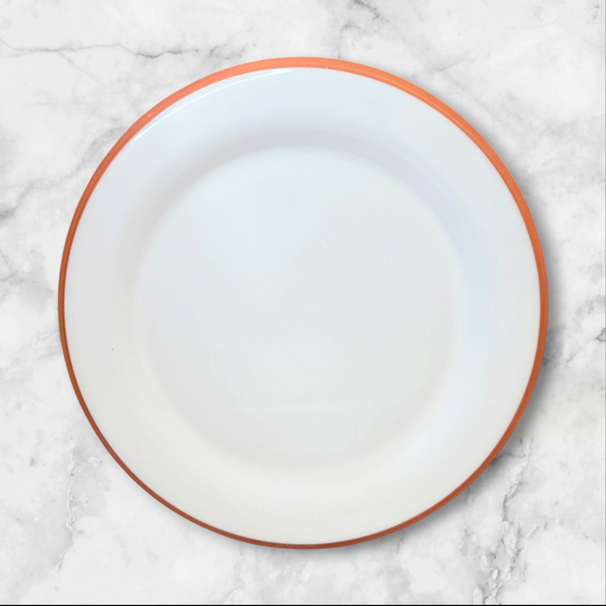 Cost Plus World Market Terracotta Rim Dinner Plates | Set of 6 | Great Condition