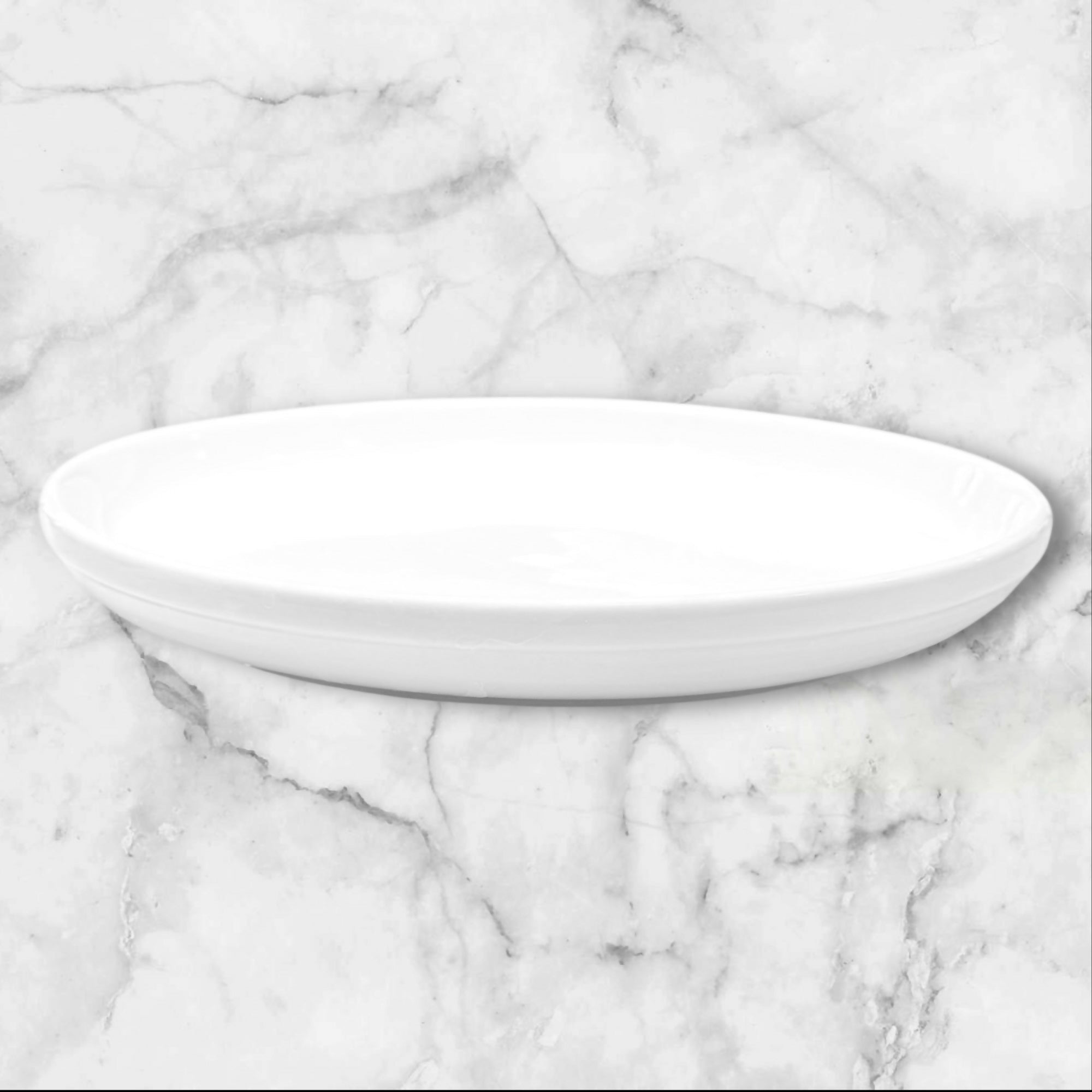 Crate & Barrel Culinary Arts Raised Rim Plates | Set of 4 | Gently Used