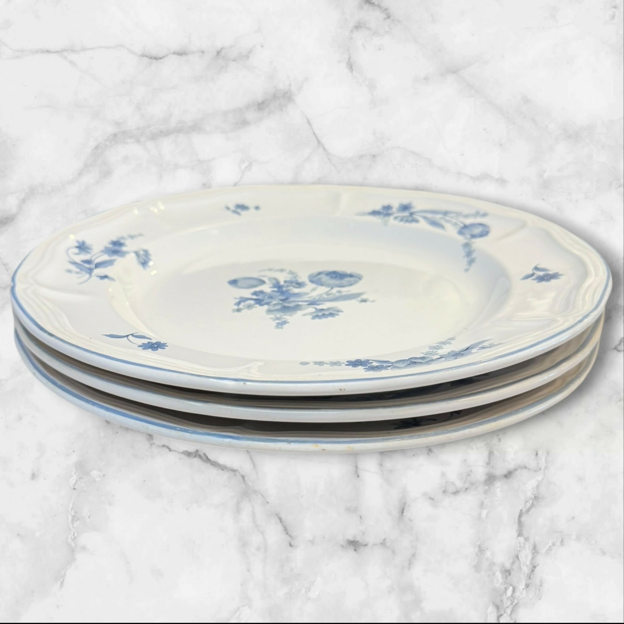 Brick Oven Jardin Bleu Dinner Plates | Set of 3 | Great Condition