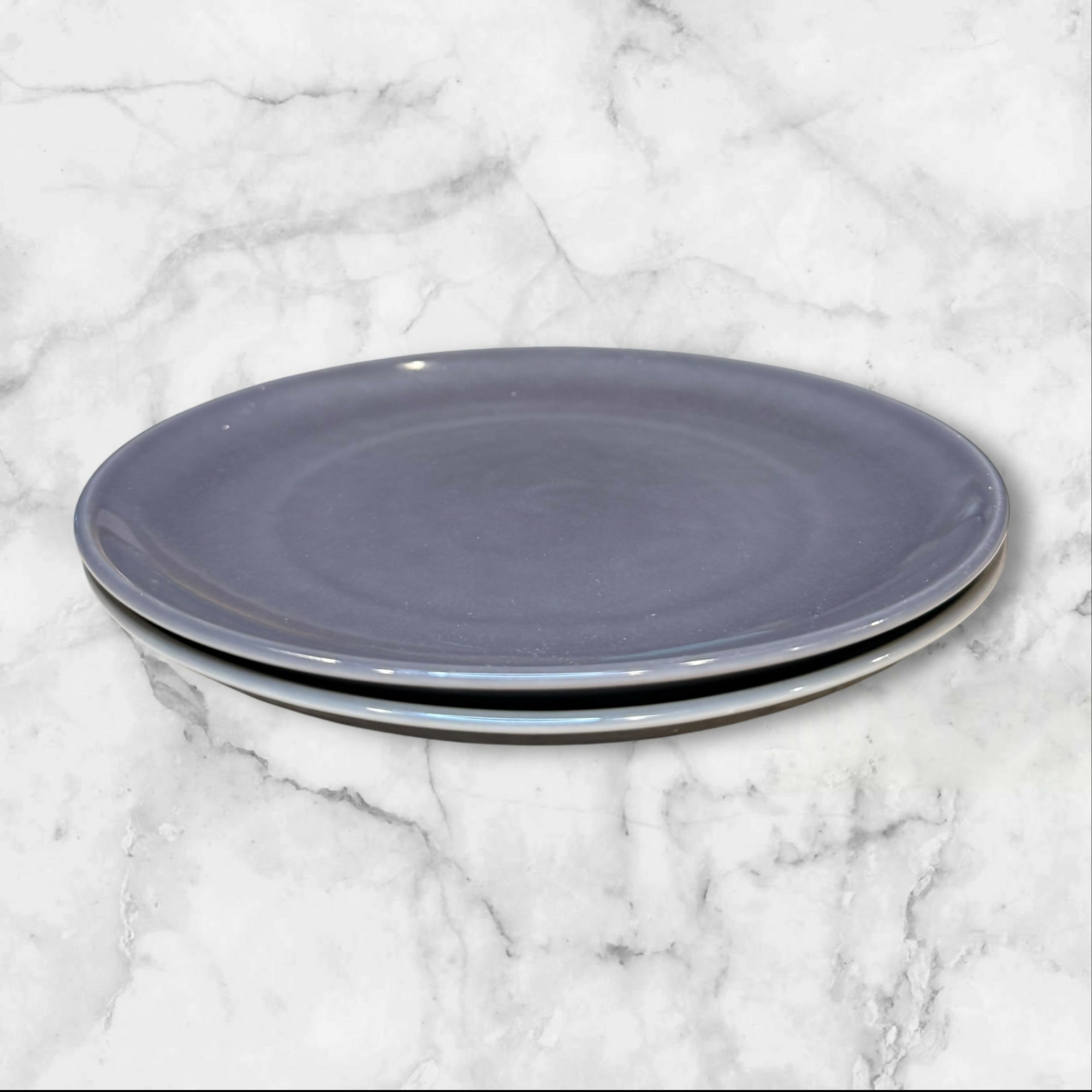 Williams Sonoma Pacifica Gray Dinner Plates | Set of 2 | 10 5/8” | Good Condition