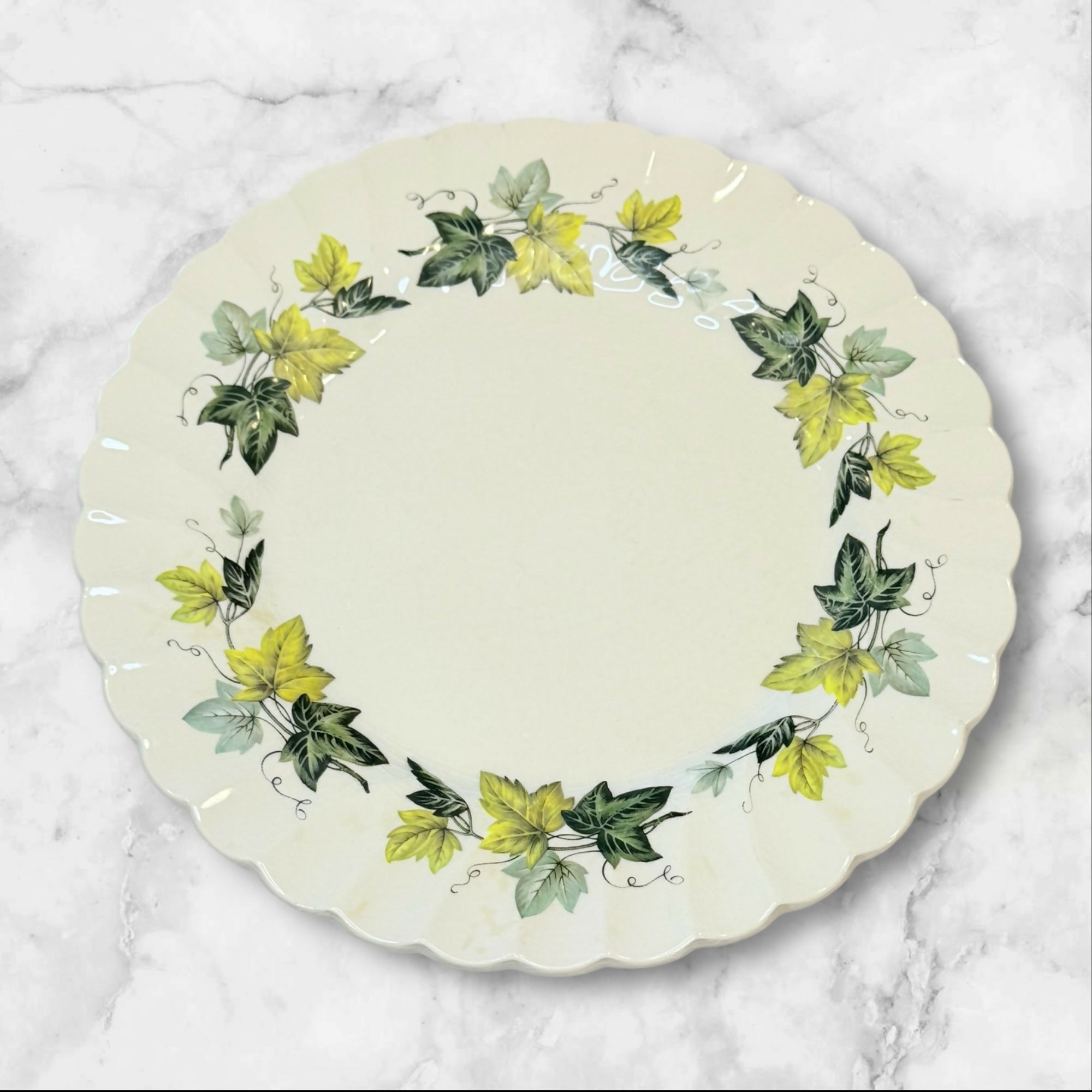 Myott Staffordshire Evergreen Dinner Plates | Set of 7 | Vintage