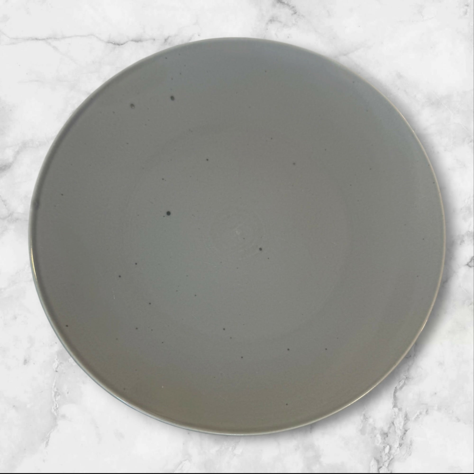 Pier 1 Clayton Speckled Stone Dinner Plates Set of 5 Great Condition