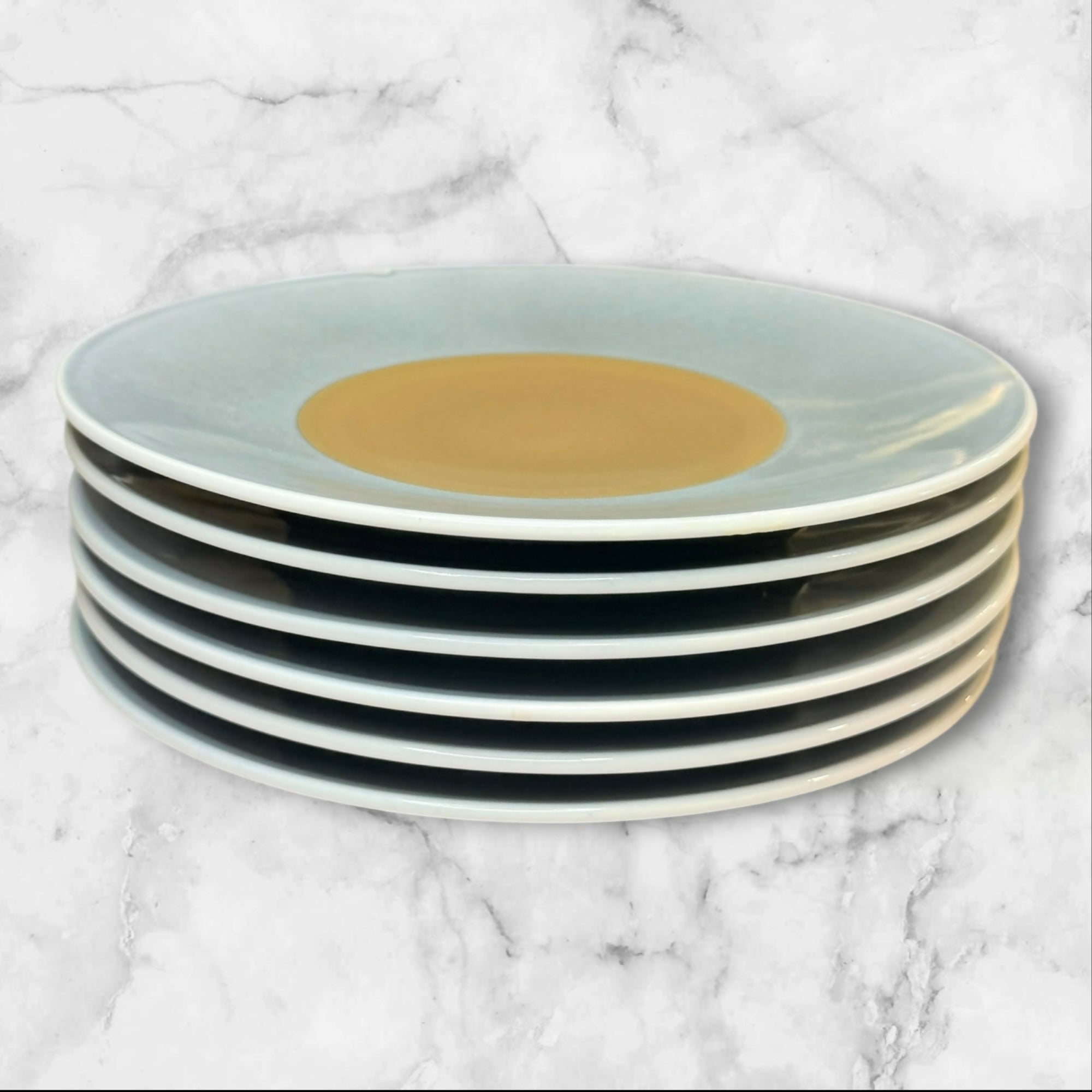 Luzerne Handcrafted Dinner Plates | Set of 6 | Excellent Condition