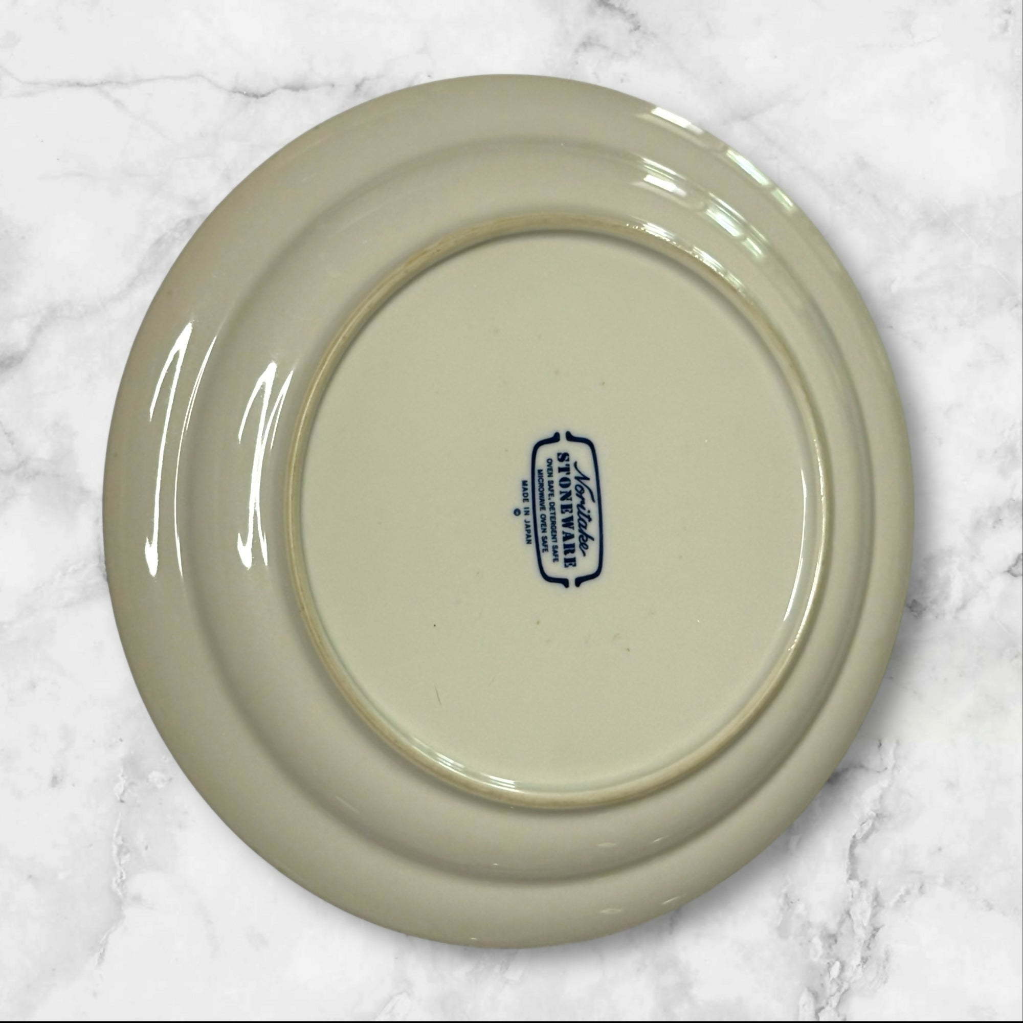 Noritake Ice Flower Stoneware Dinner Plates | Set of 2 | Great Condition