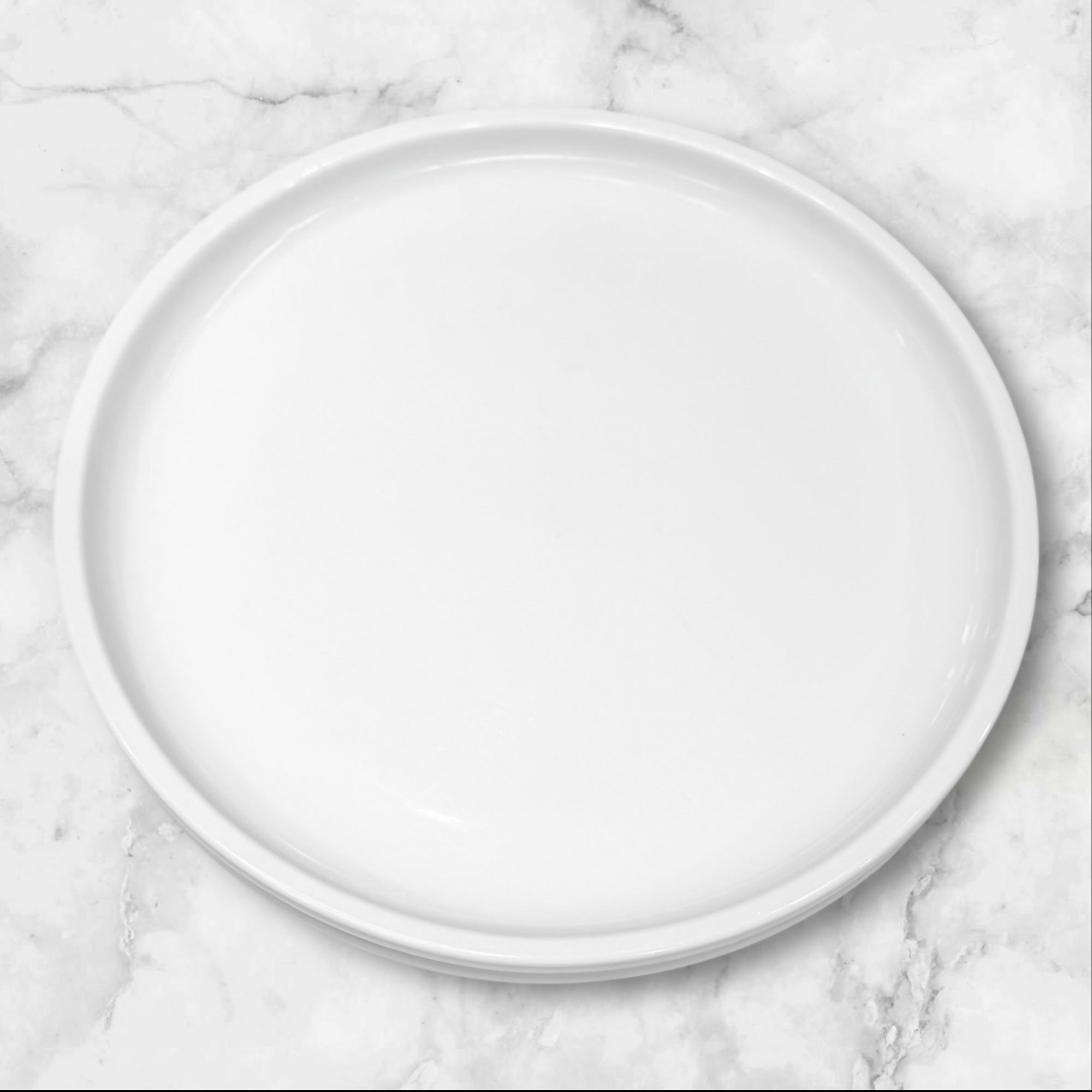 Crate & Barrel Culinary Arts Dinner Plates | Set of 2 | Good Condition