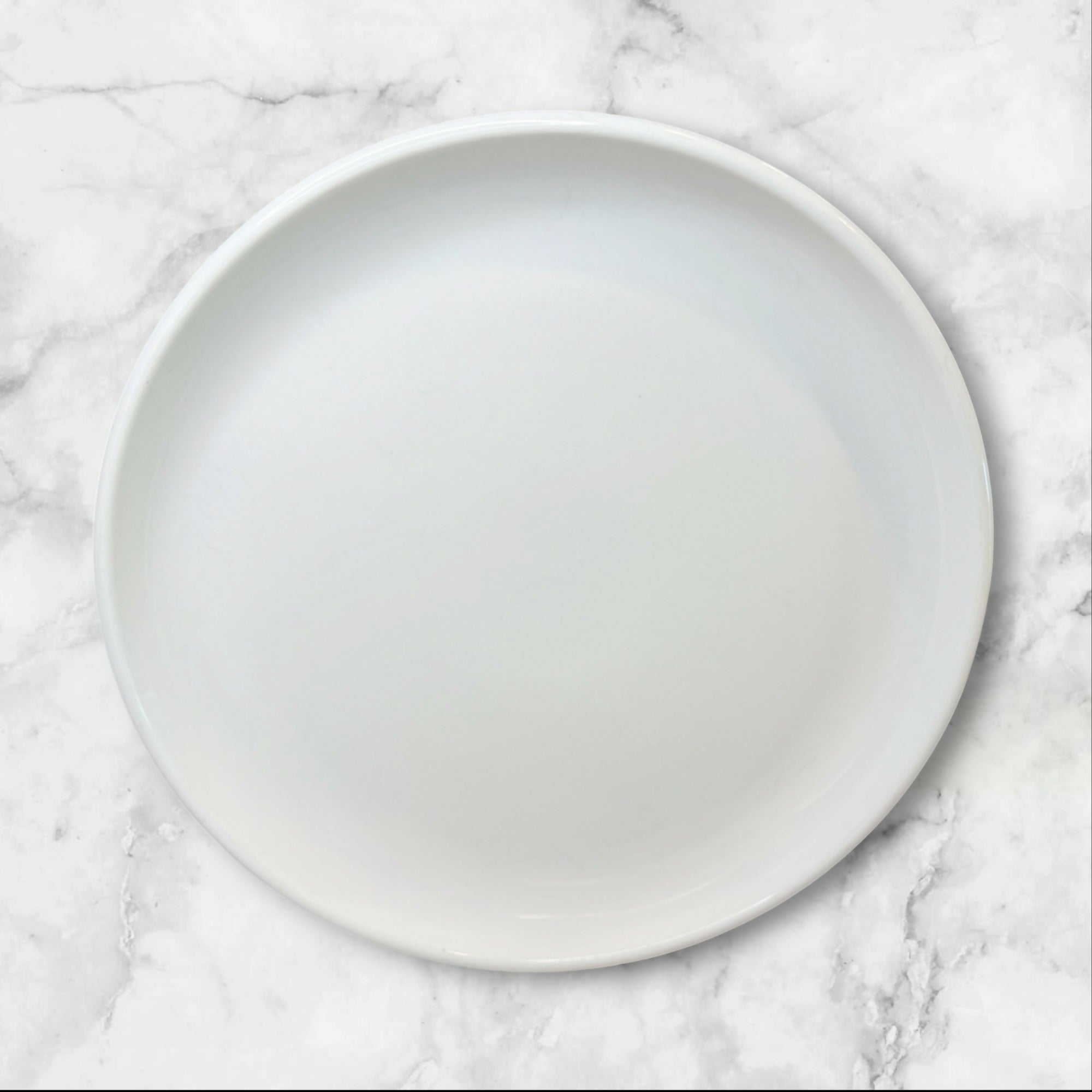 Crate & Barrel Culinary Arts Porcelain Dinner Plates | Set of 4 | Great Condition