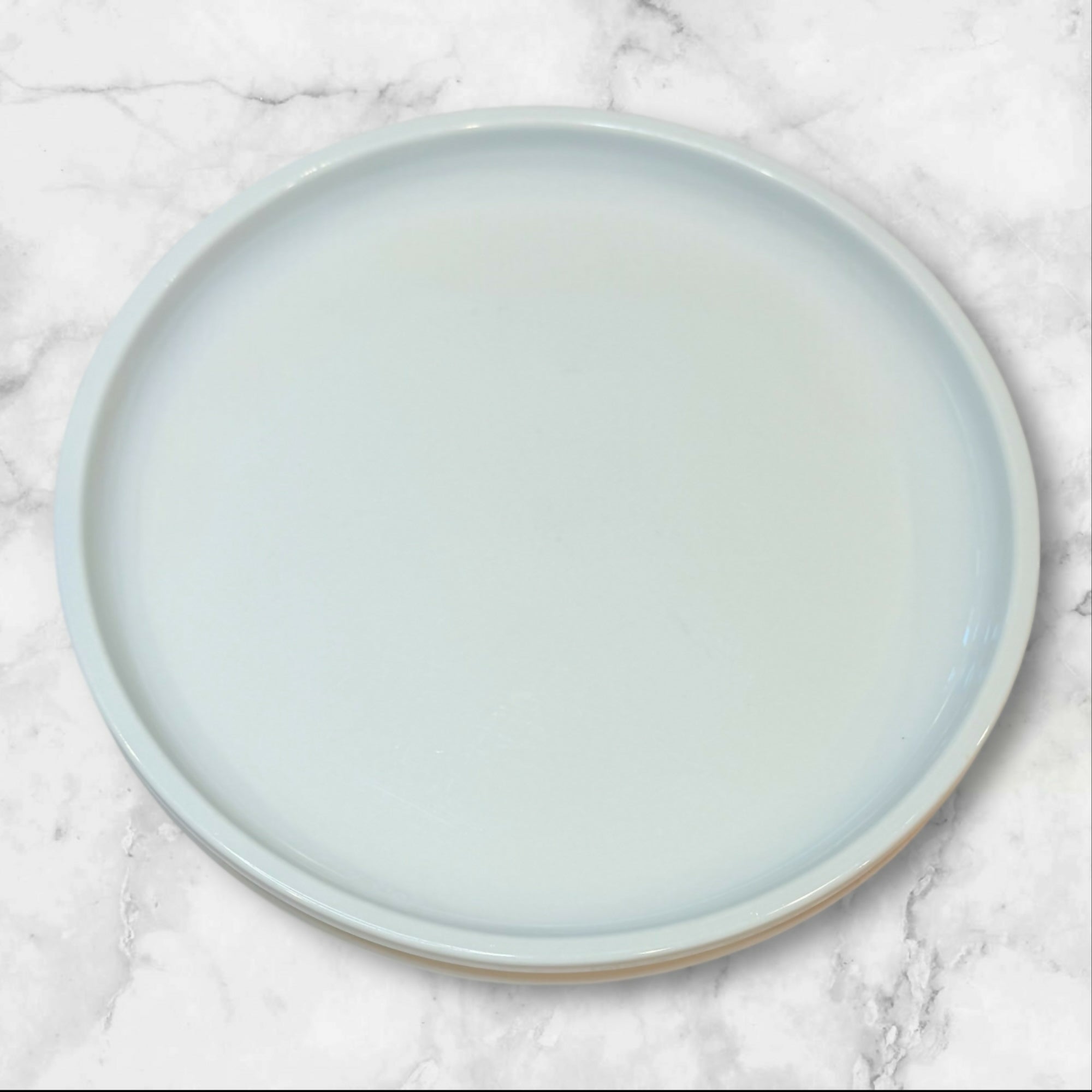 Crate & Barrel Culinary Arts Dinner Plates | Set of 2 | Good Condition