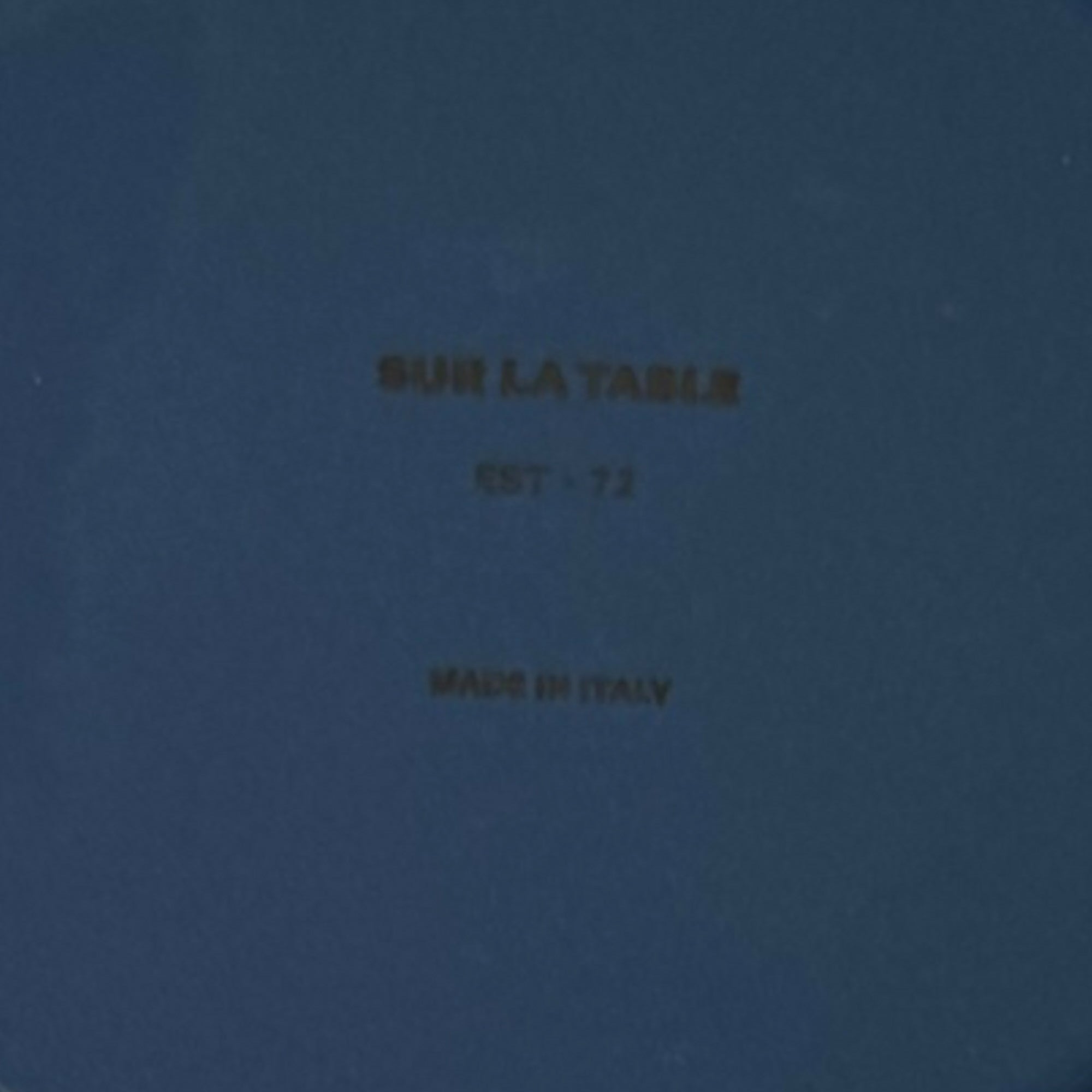 Sur La Table Italian Blue Dinner Plates Set of 4 | Made in Italy | Good Condition