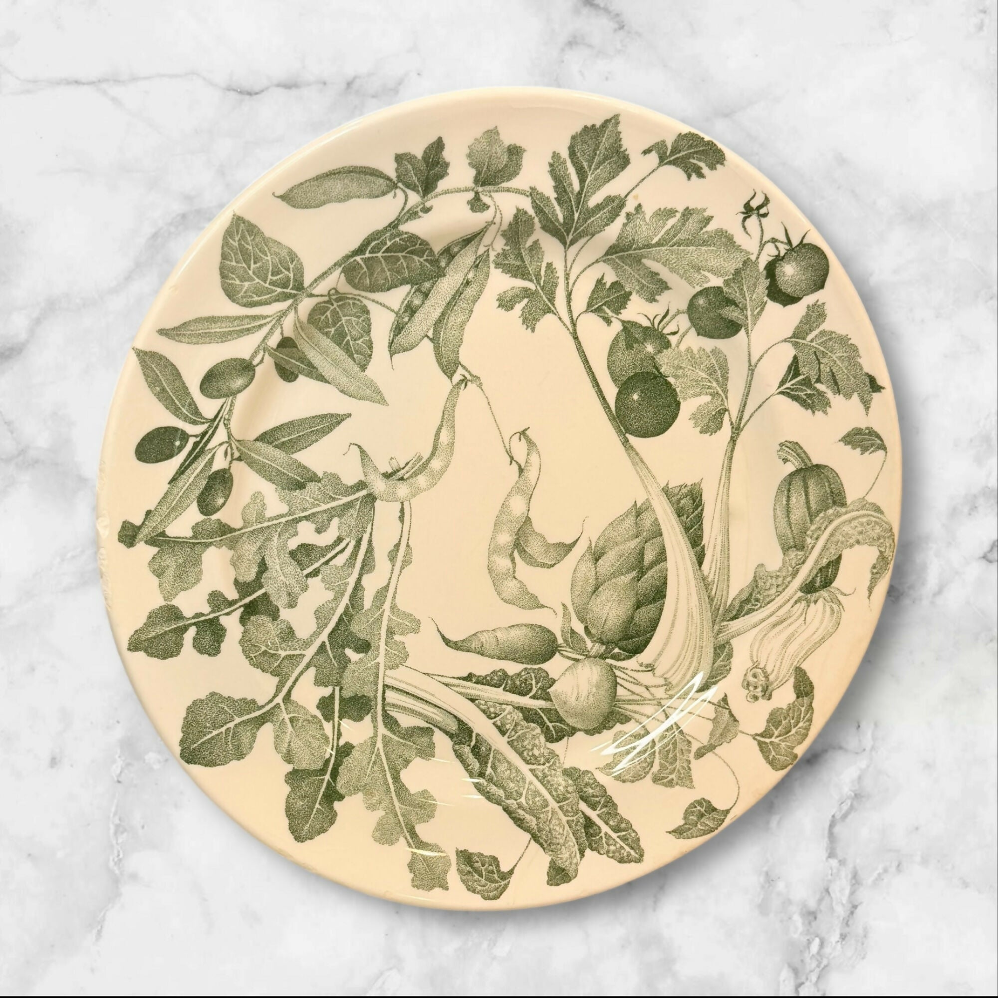 Primula Crate & Barrel Botanical Dinner Plates | Set of 4 | Good Condition
