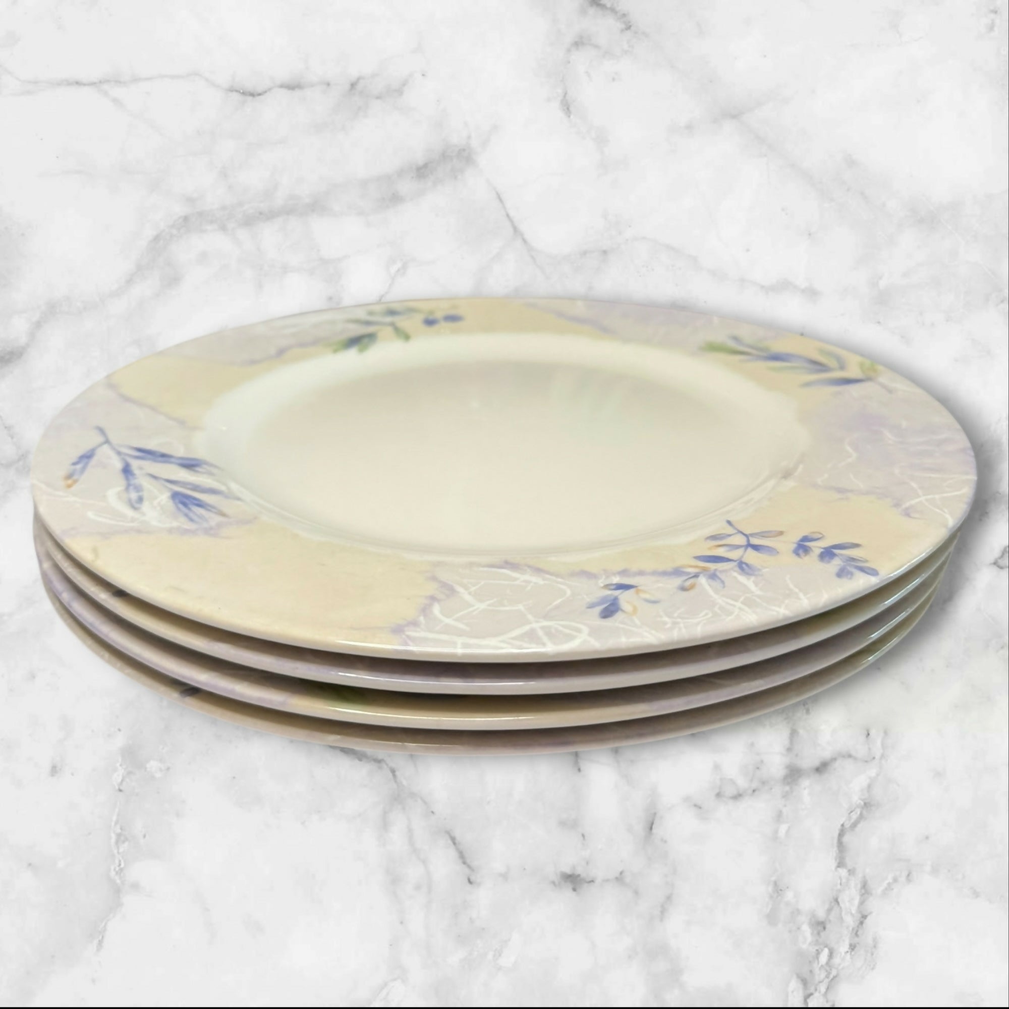 222 Fifth Torn Paper Dinner Plates | Set of 4 | Floral Stoneware | Great Condition