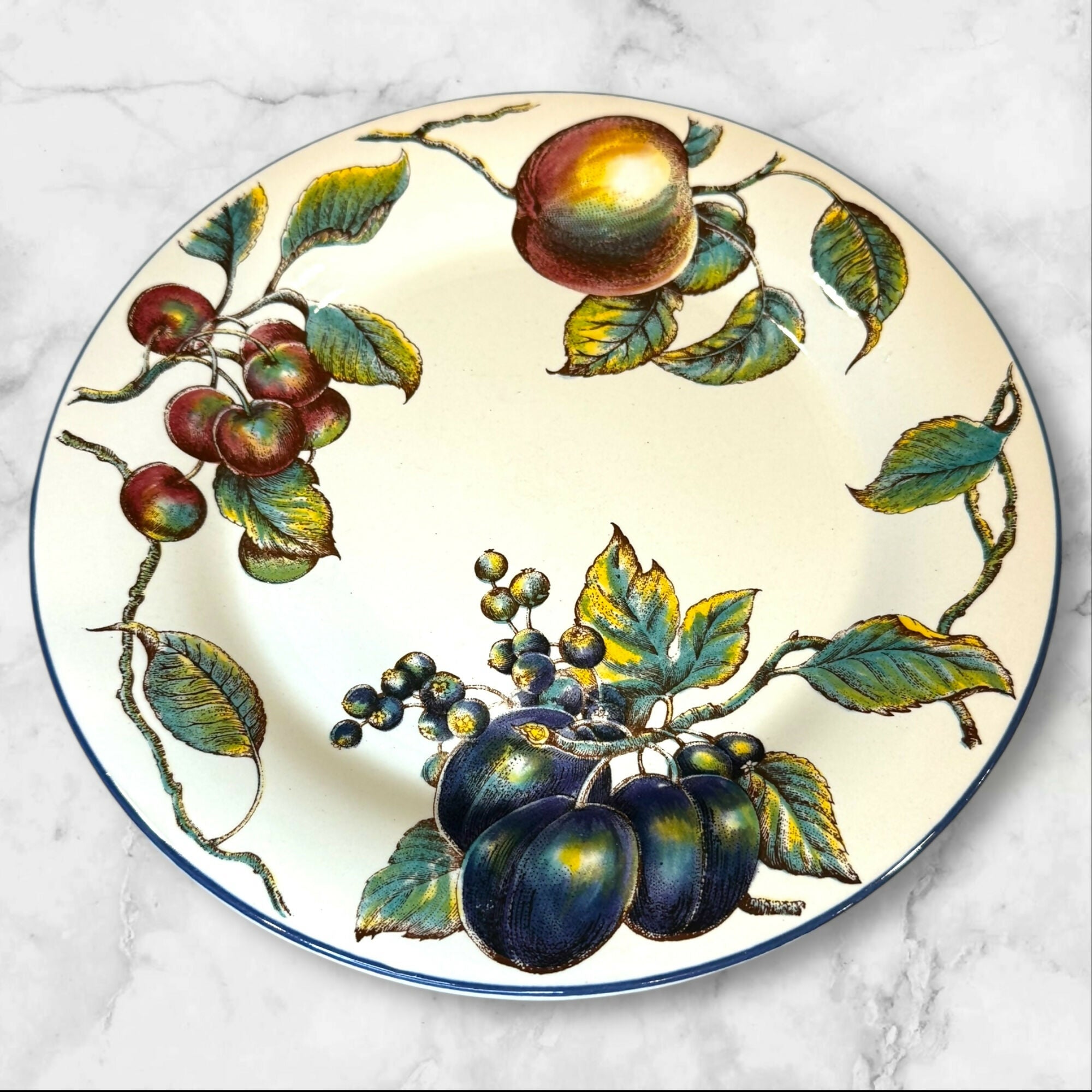 Pier 1 Macintosh Earthenware Dinner Plates & Soup Bowls | Set of 8 | Excellent Condition