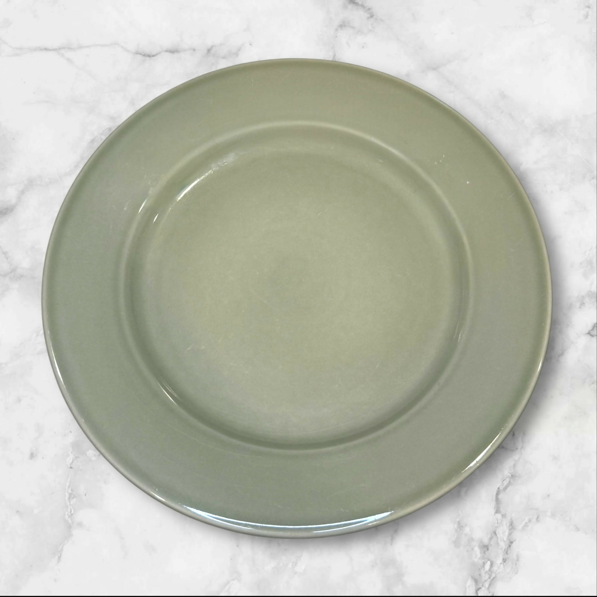 Williams Sonoma Belvedere Sage Dinner Plates | Set of 4 | Great Condition