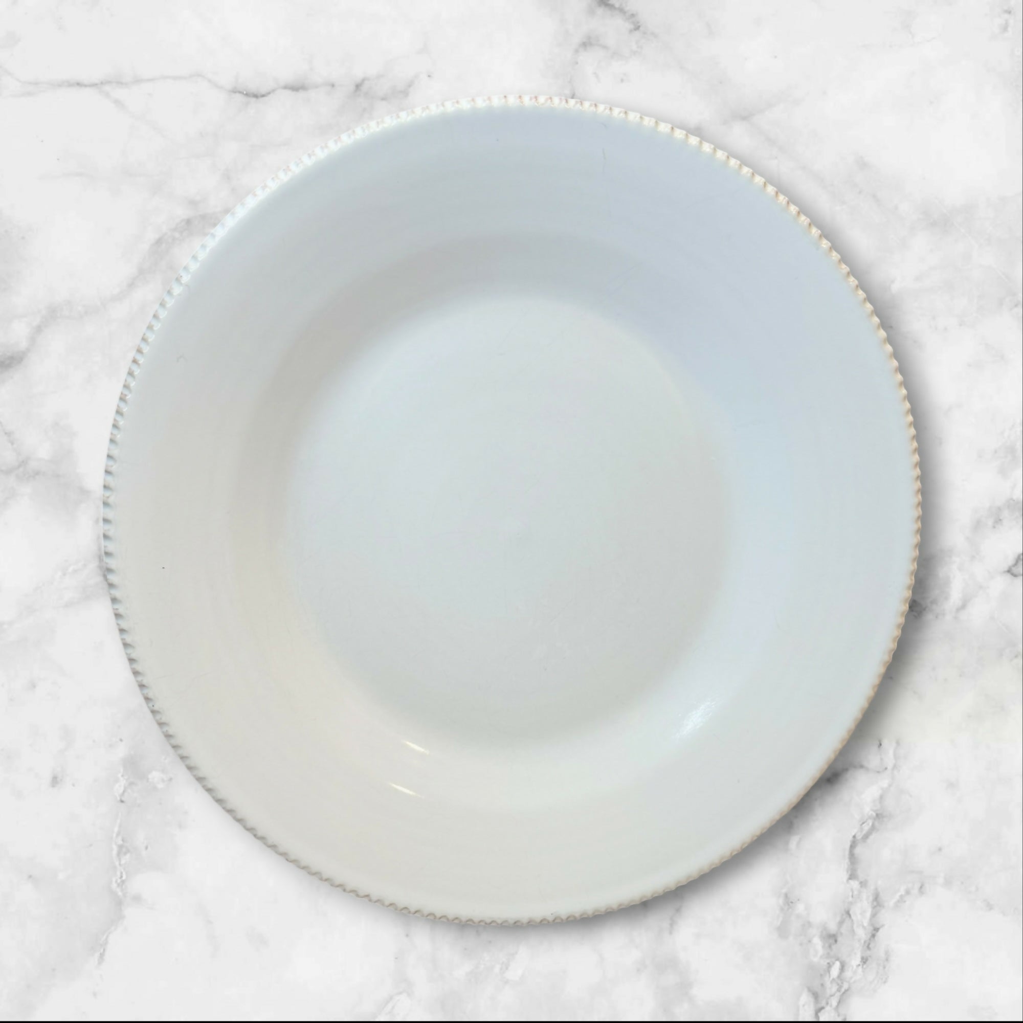 Pottery Barn Pottery Barn Gabriella Dinner Plates | Set of 4 | Great Used Condition