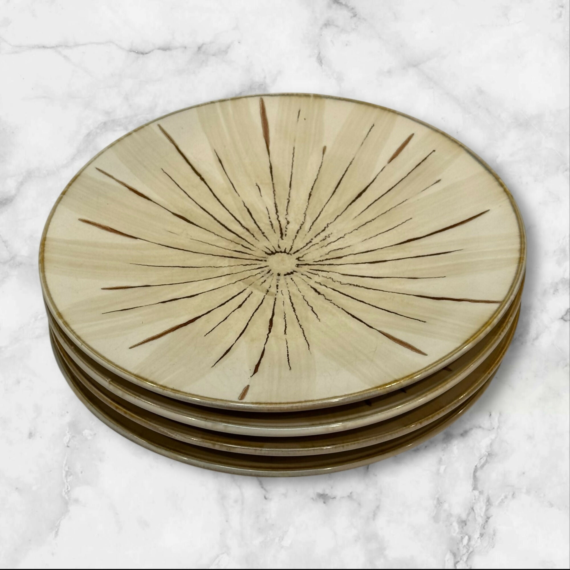 Pier 1 Sanctuary Salad Plates | Set of 4 | Great Condition | Tableware