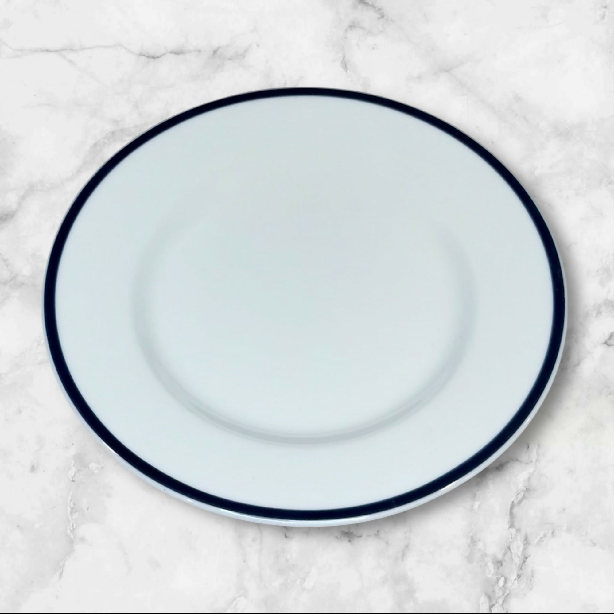 Crate & Barrel Cape Cod Bleu Bread & Butter Plates | Set of 4 | Excellent Condition