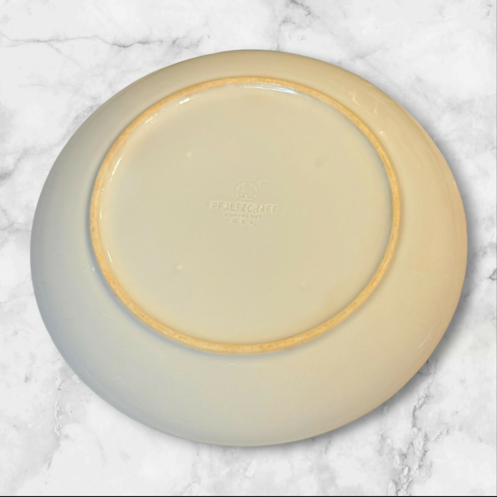 Pfaltzgraff Sky Dinner Plates | Set of 4 | Blue Rim | Great Condition