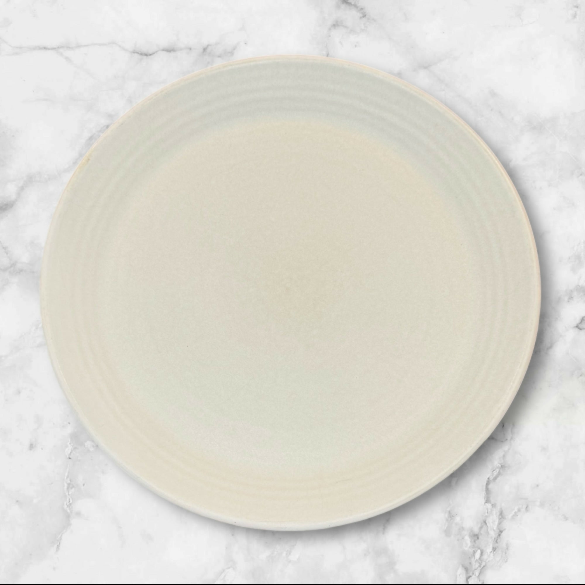 Pottery Barn Larkin Dinner Plates | Set of 4 | Great Condition