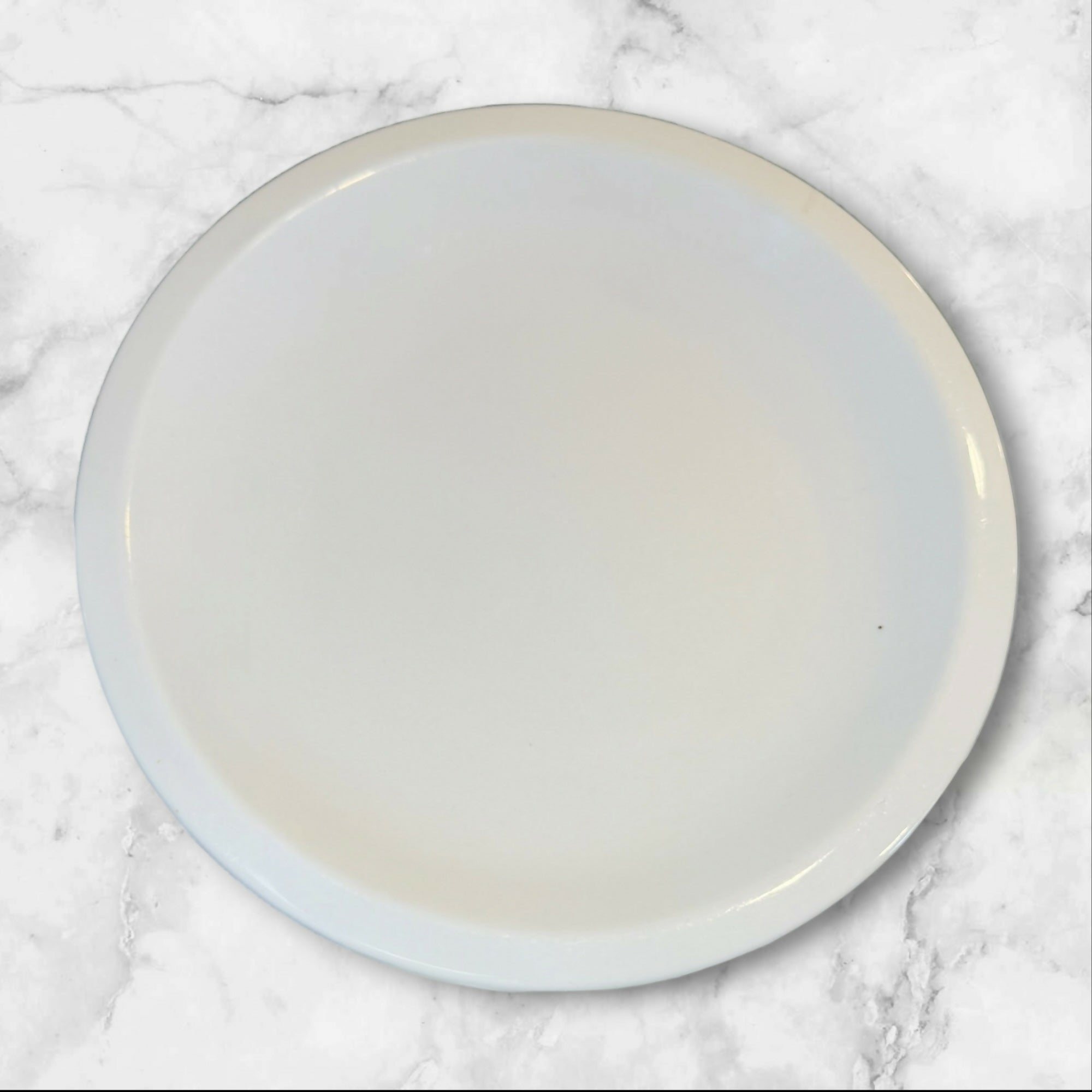CulinaryArts Raised Rim Dinner Plates | Set of 3 | Excellent Condition