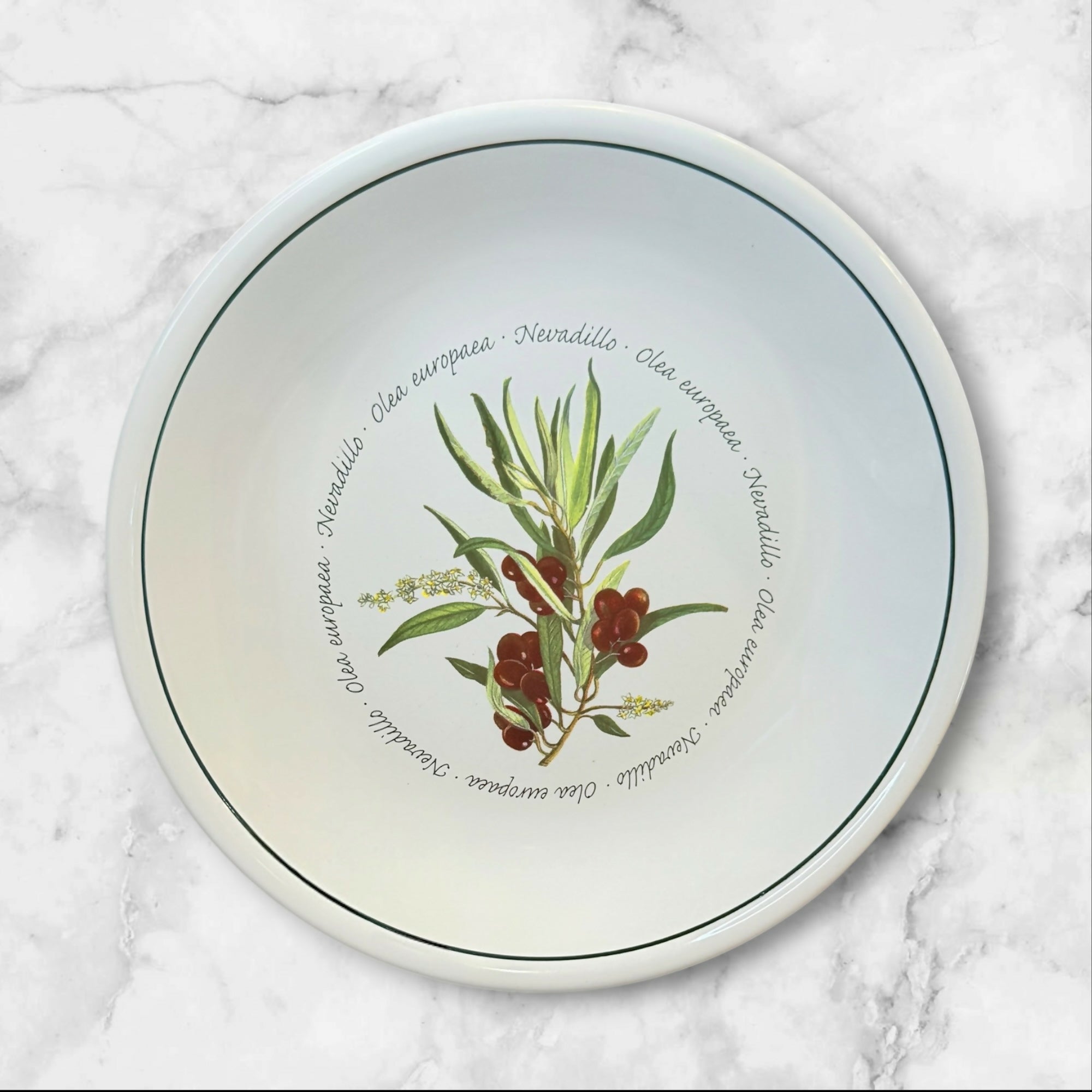 Williams Sonoma WSO20 Olive Pasta Bowls | Set of 4 | Great Condition