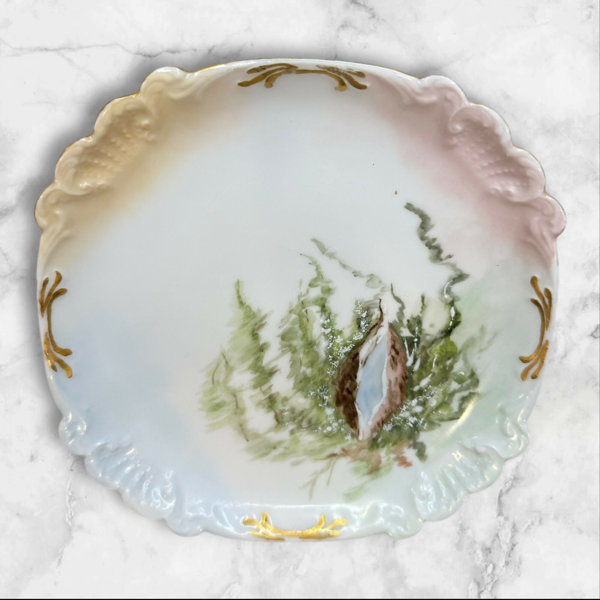 Antique Haviland Limoges Elite Hand Painted Seashell Plates | Set of 7 | Excellent Condition