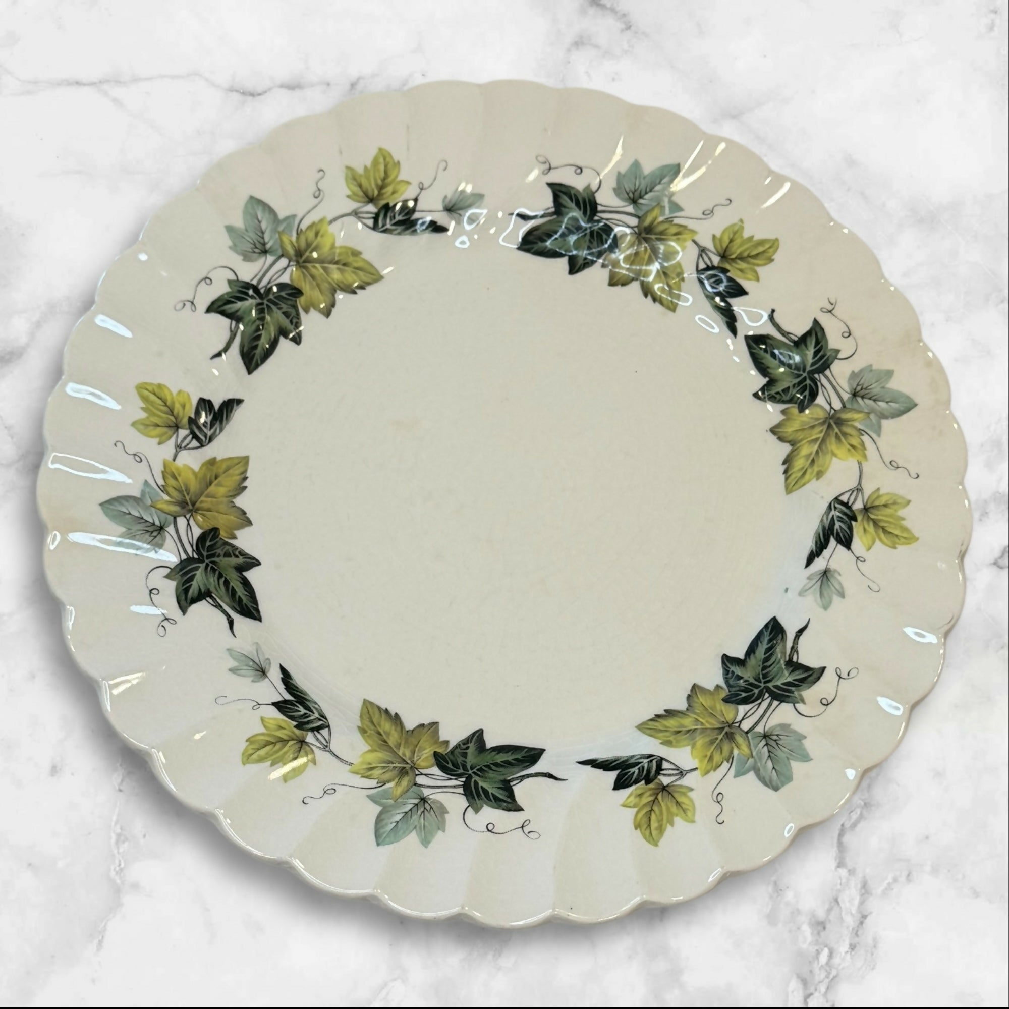 Myott Staffordshire Evergreen Dinner Plates | Set of 7 | Vintage