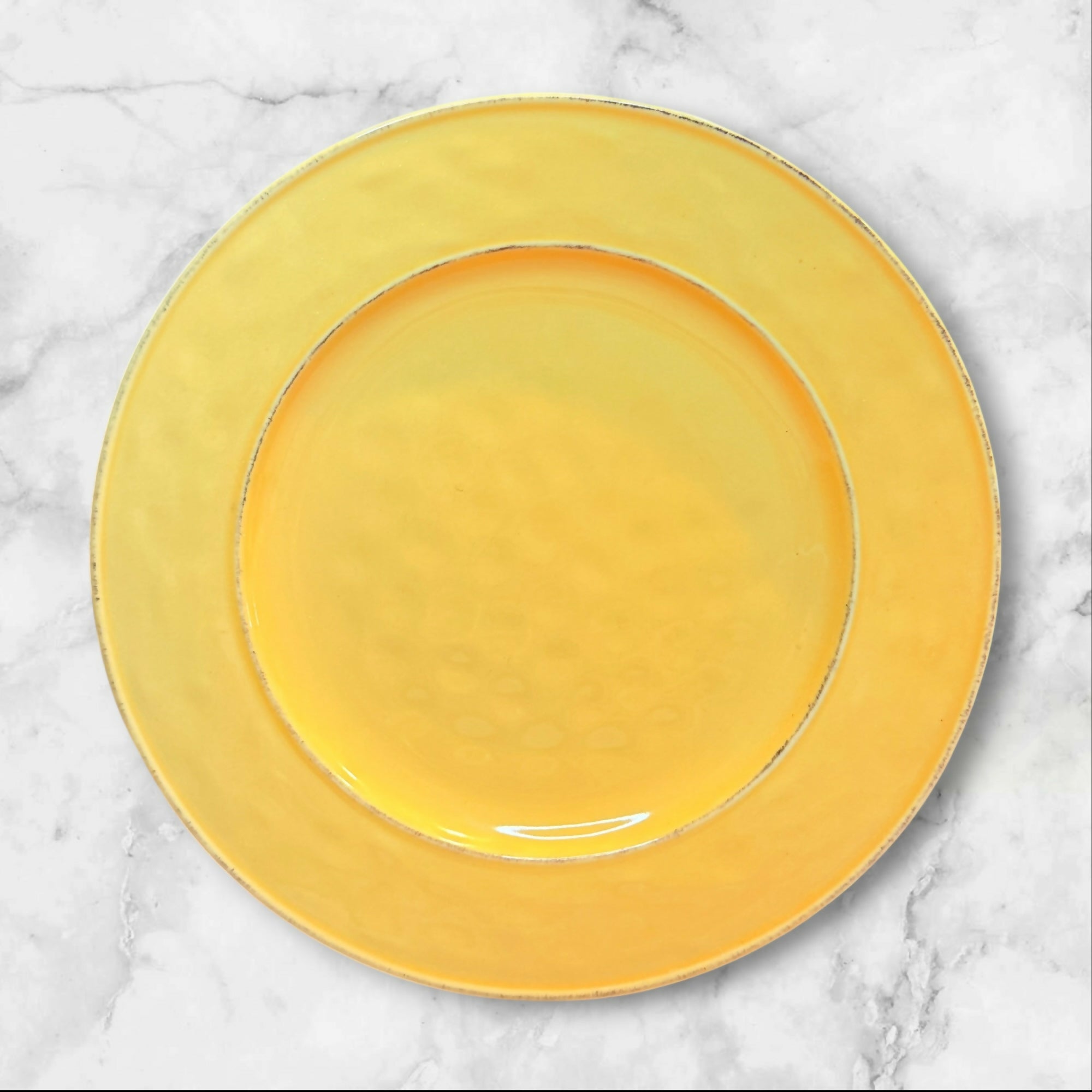 Pier 1 Mango Yellow Dinner Plates Set of 4 Stoneware | Gently Used
