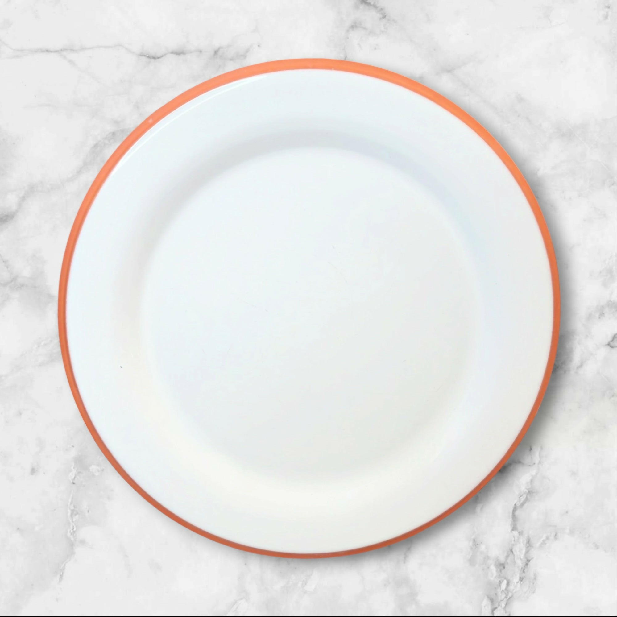 Cost Plus World Market Terracotta Rim Dinner Plates | Set of 6 | Great Condition