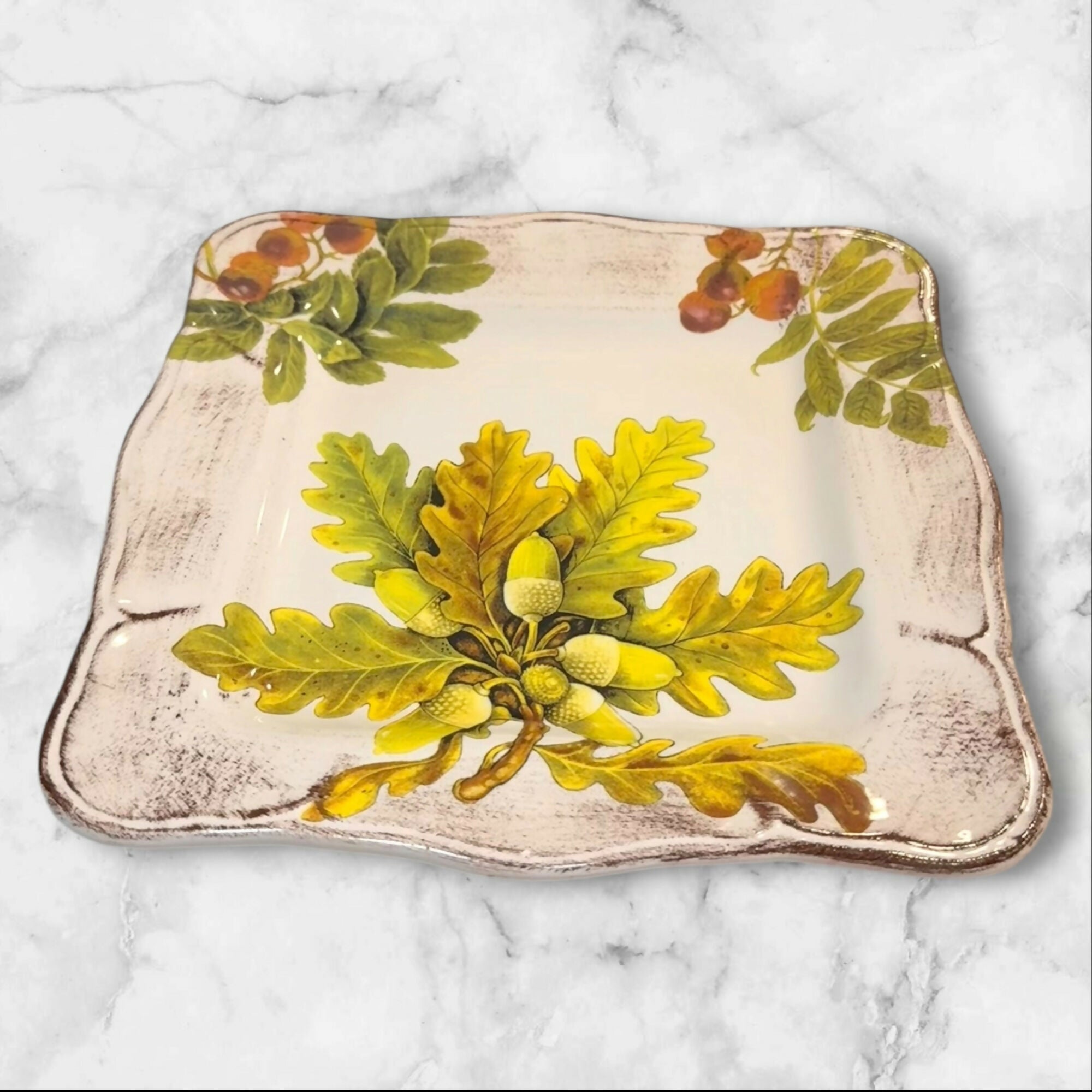Sur La Table Acorn & Fig Square Luncheon Plates | Set of 5 | Excellent Condition