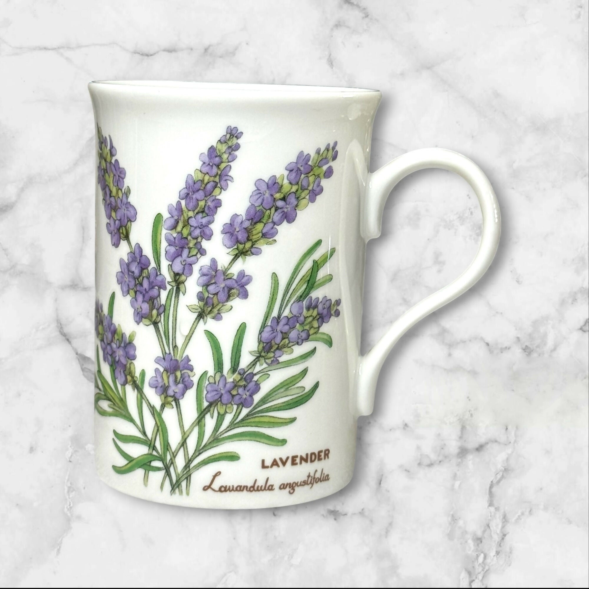 Crown Trent Fine Bone China Herb Garden Mugs Set of 3 | Good Condition