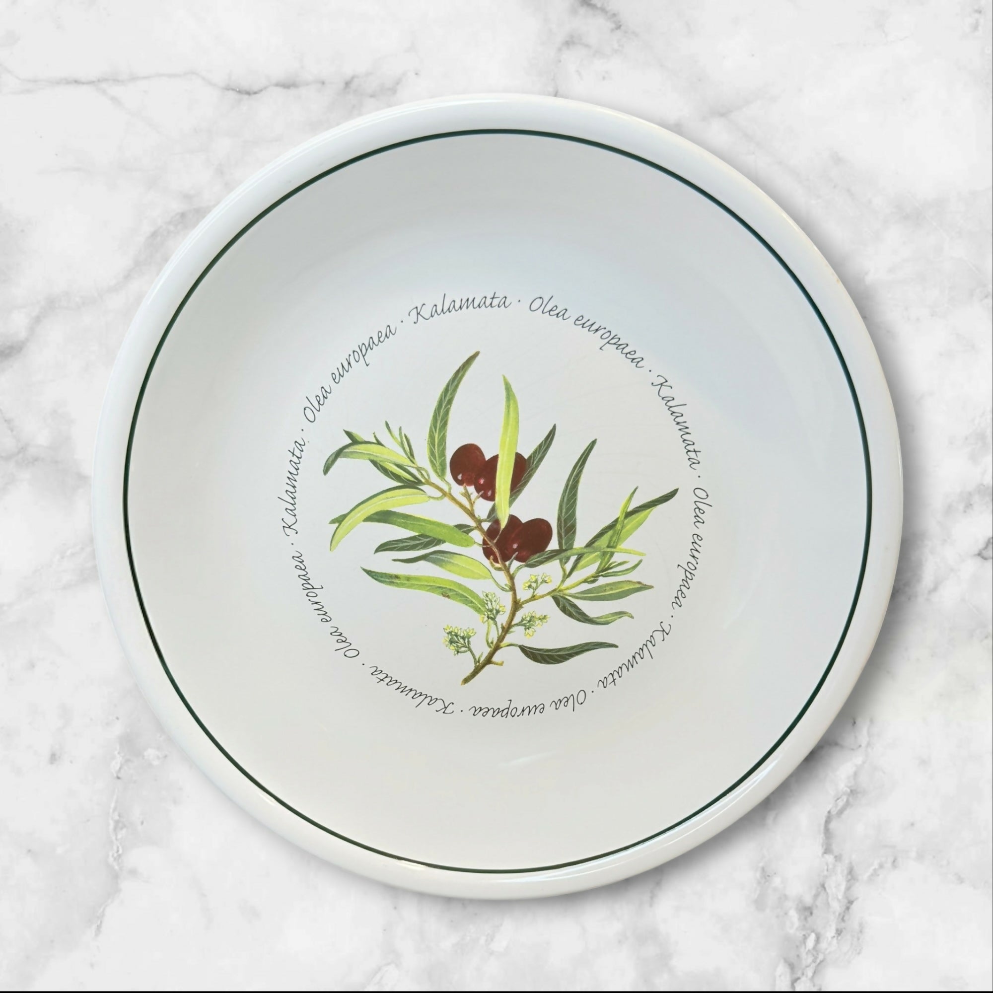 Williams Sonoma WSO20 Olive Pasta Bowls | Set of 4 | Great Condition
