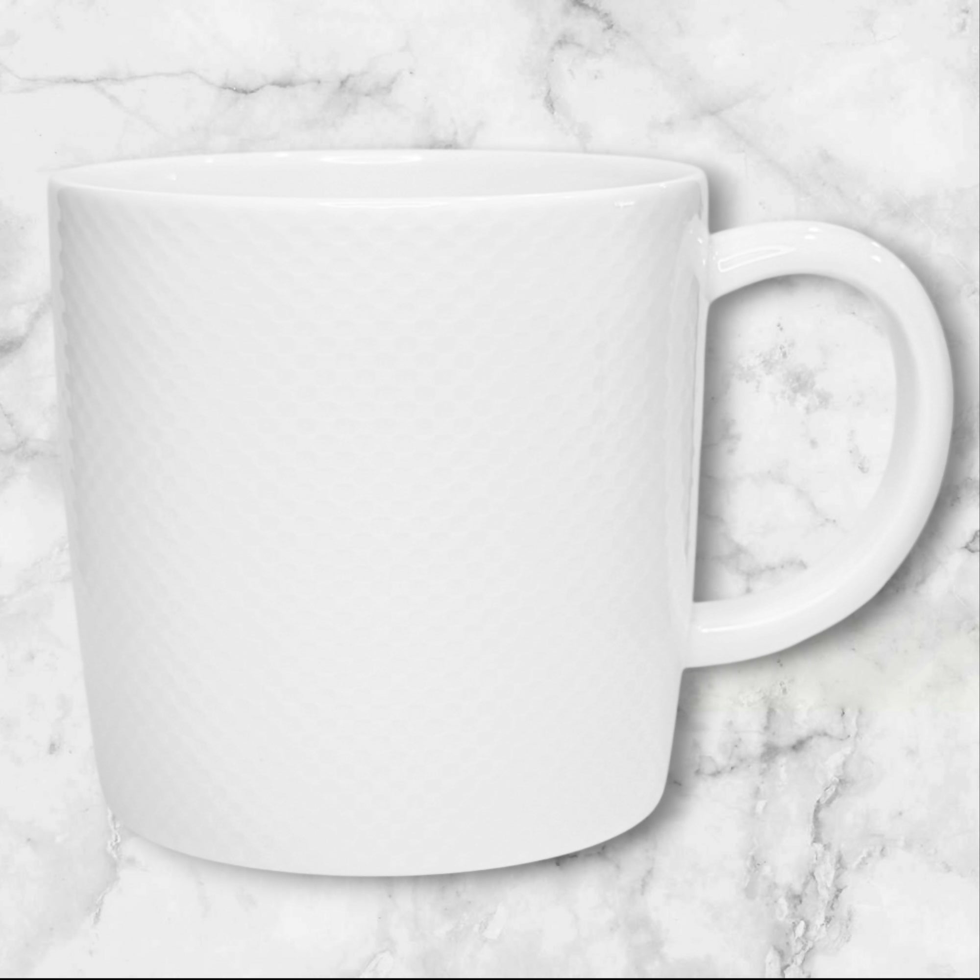 Crate & Barrel Nikko Reflections Mugs | Set of 2 | Excellent Condition