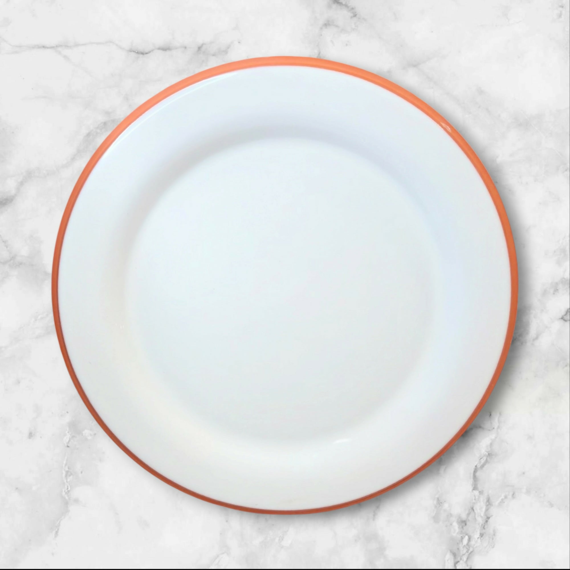 Cost Plus World Market Terracotta Rim Dinner Plates | Set of 6 | Great Condition